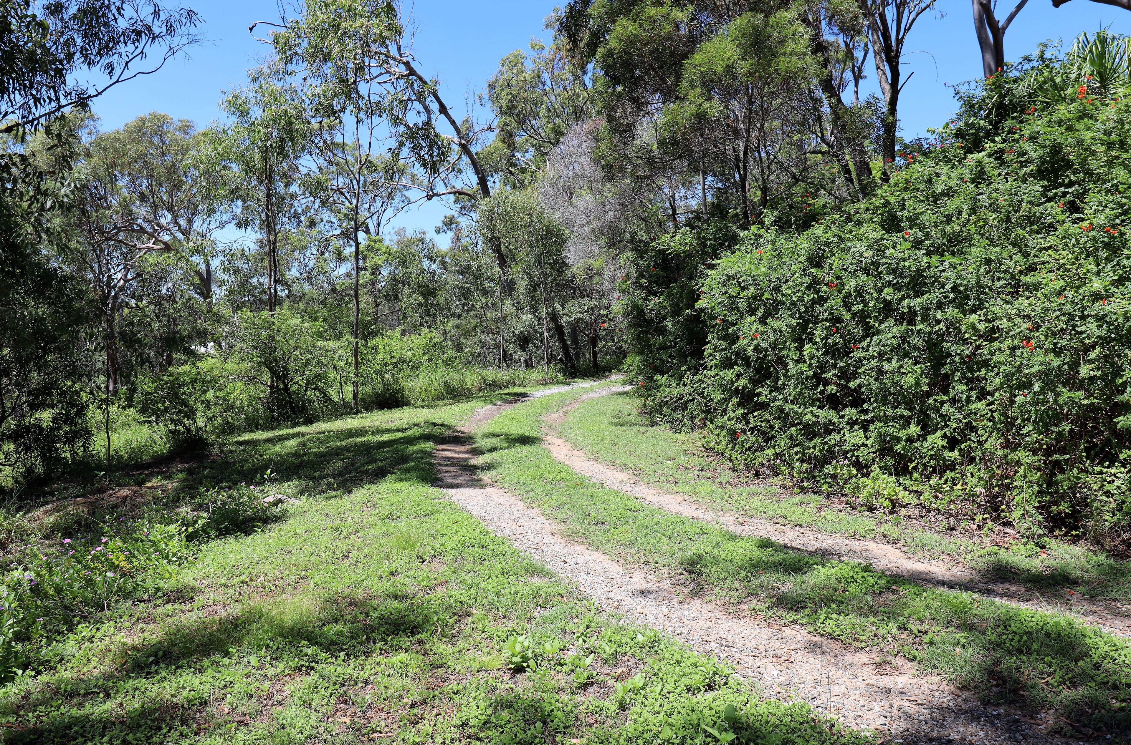 52 Mary Munro Crescent, Agnes Water QLD 4677, Agnes Water - Thumbnail 3