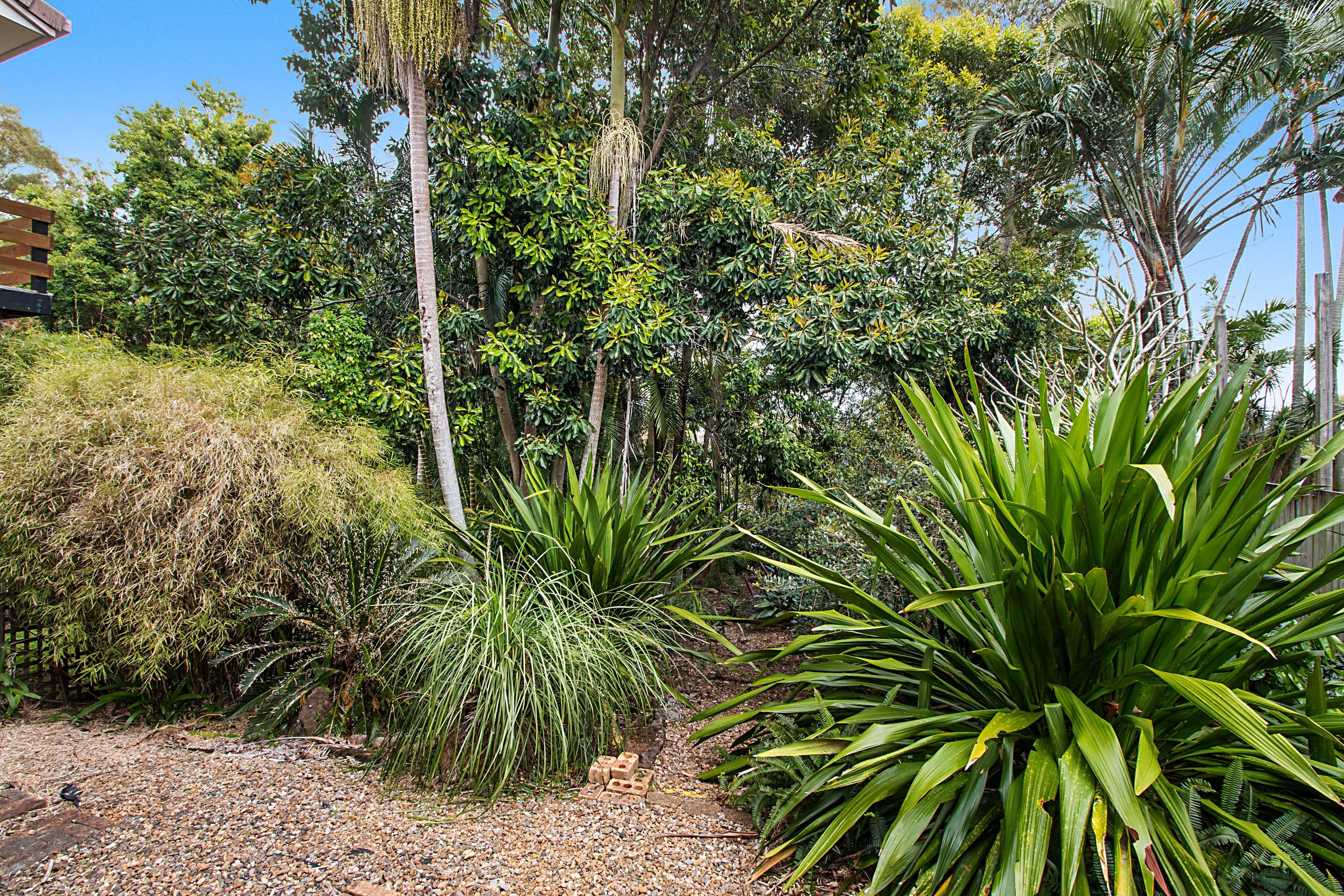 3 Curtawilla Street, Banora Point NSW 2486, Banora Point - Thumbnail 8