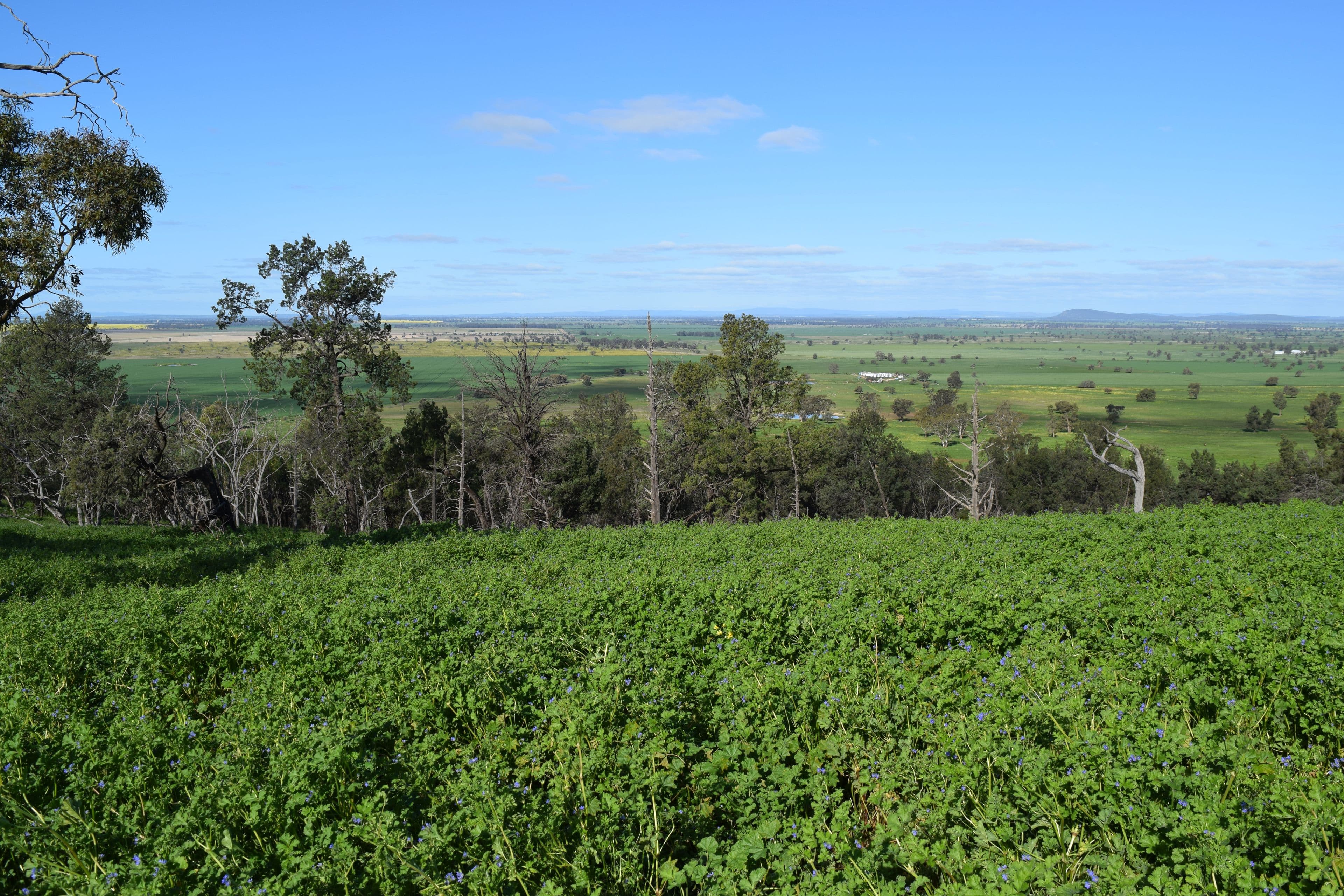 878 Mount Tallabung Road, Wirrinya NSW 2871, Wirrinya - Thumbnail 2
