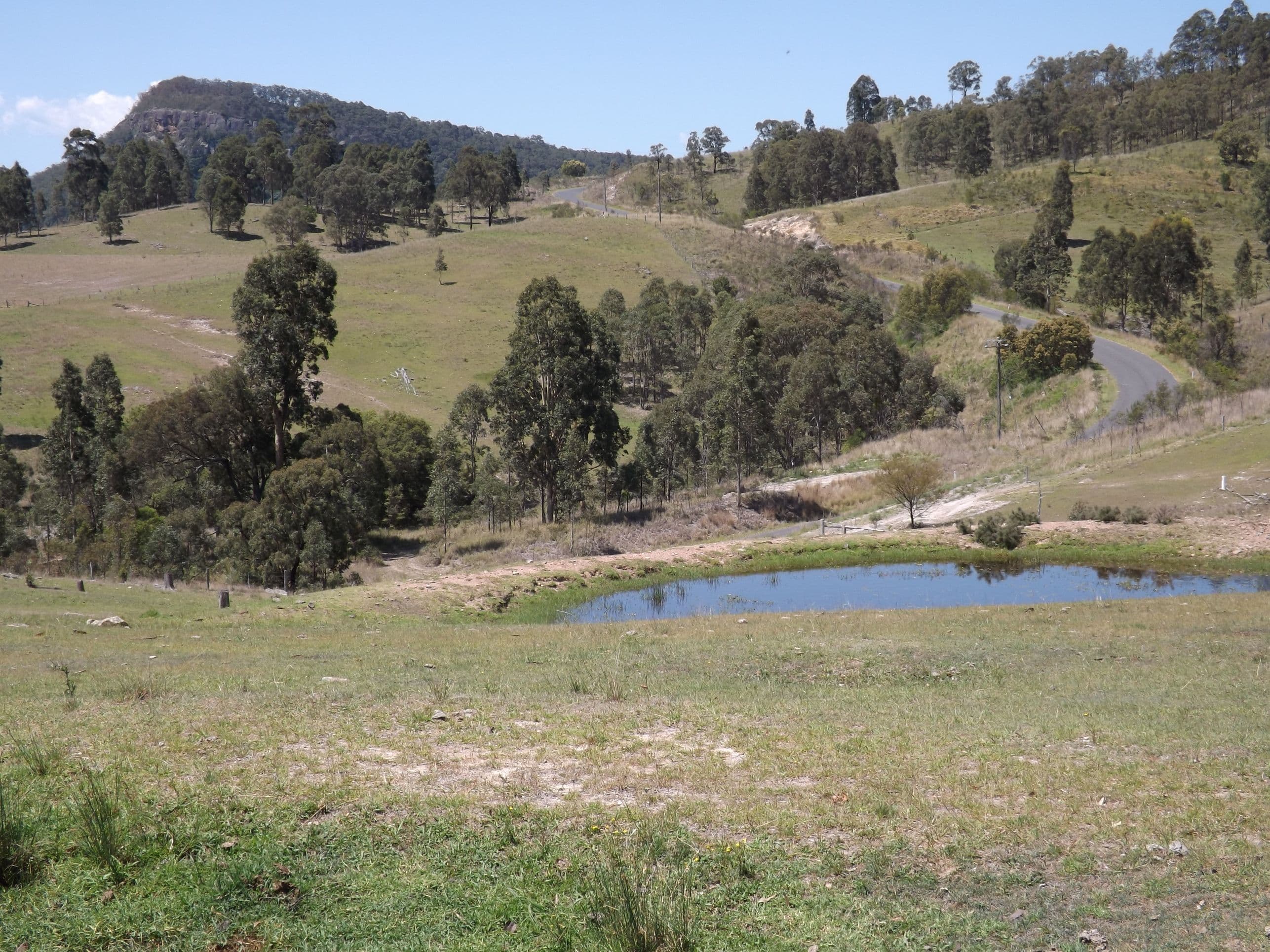 Lots 1 Carrowbrook Road, SINGLETON NSW 2330, Singleton - Image 1
