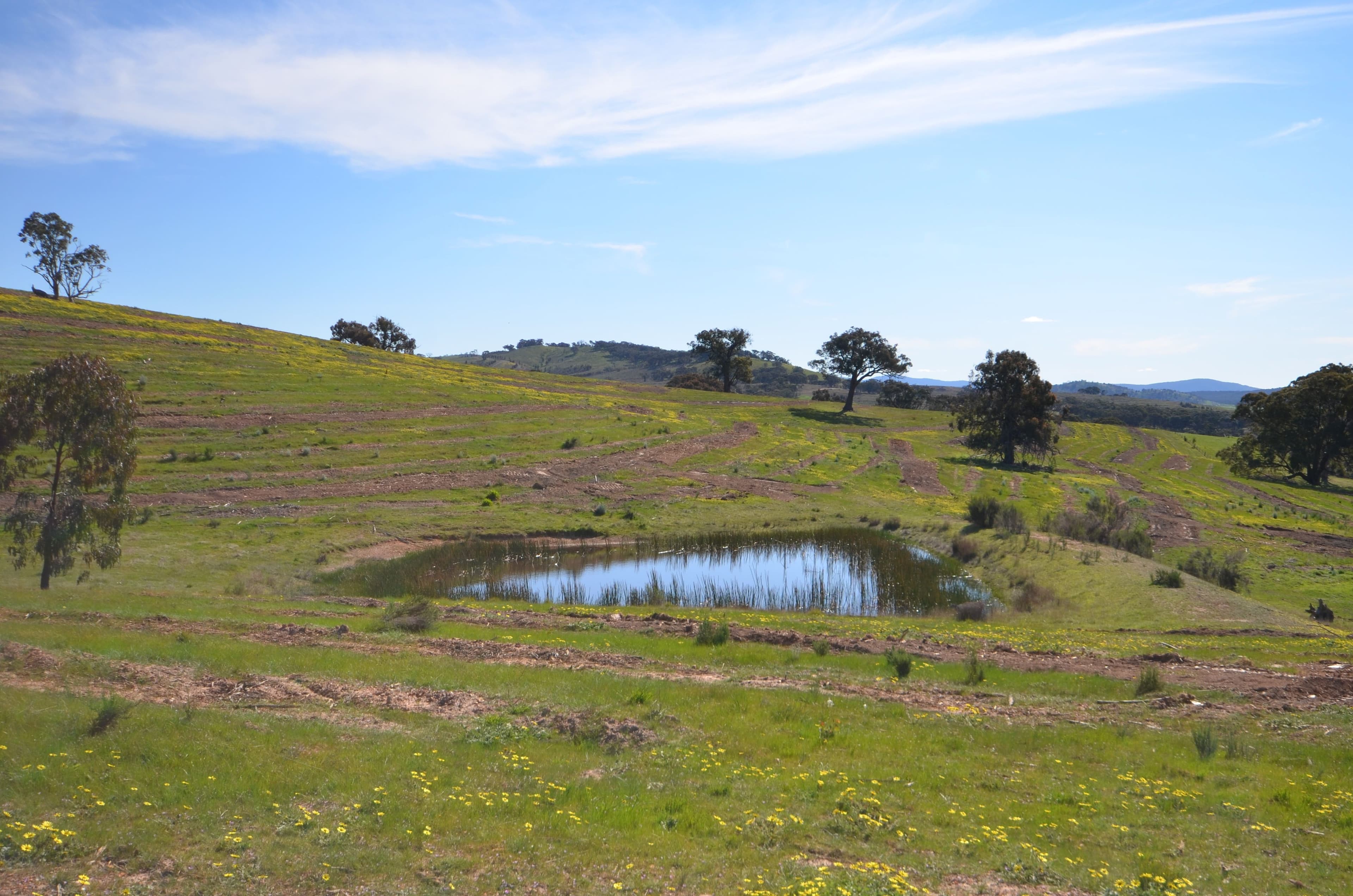 CA 5B and 6B Black Bottom Road, LEXTON VIC 3352, Lexton - Thumbnail 2