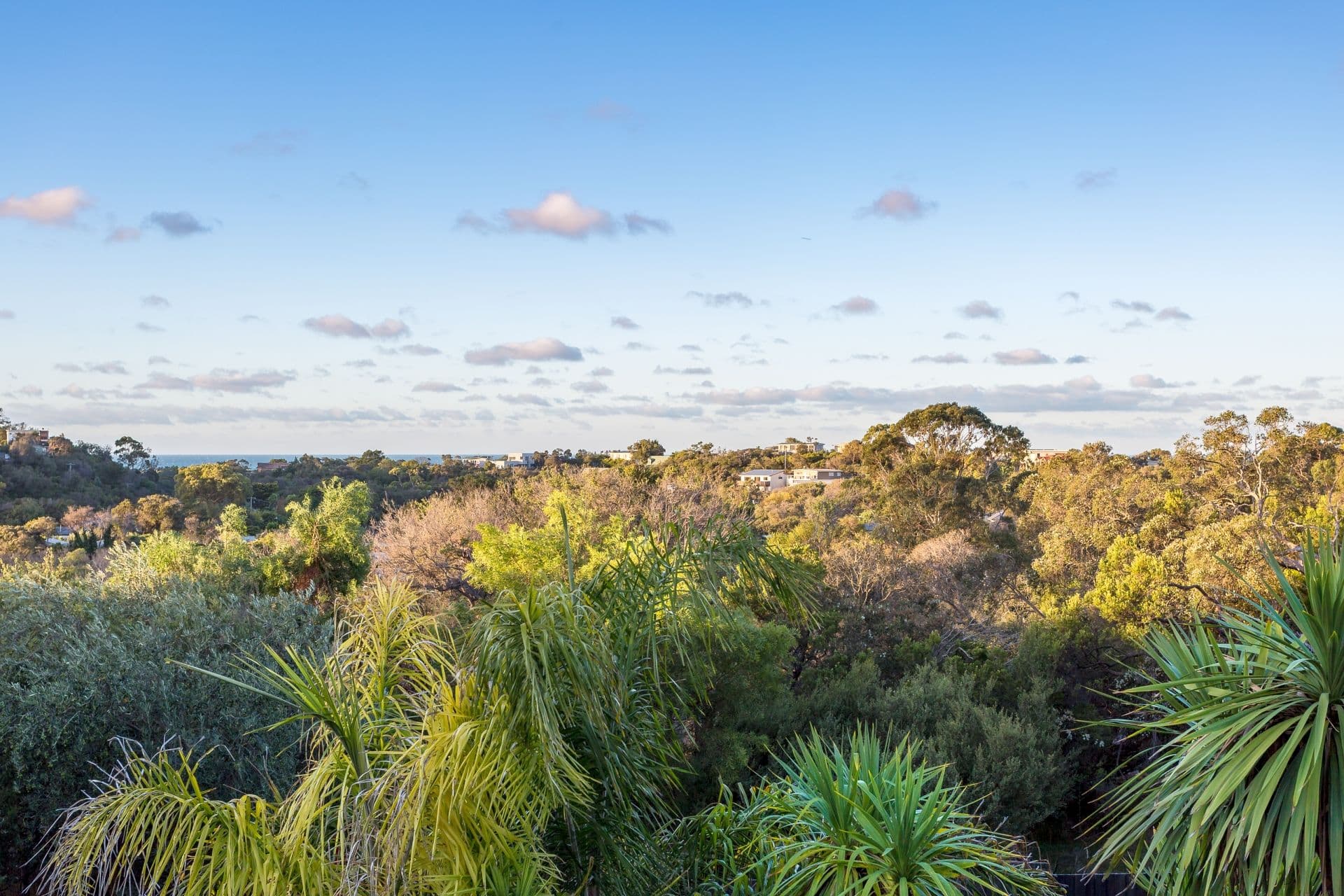 78 Observation Drive, Rye VIC 3941, Rye - Thumbnail 4