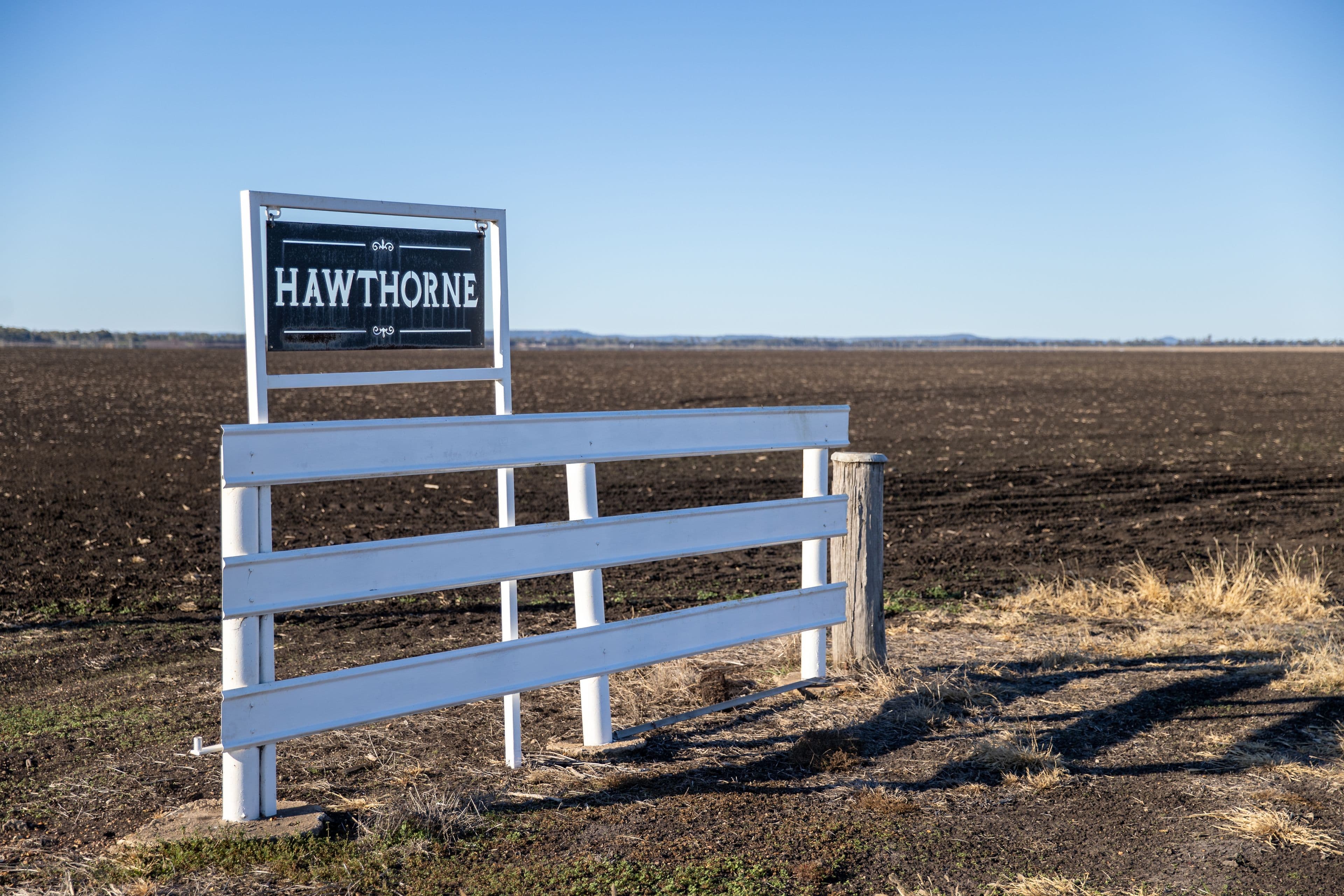 "Hawthorne" Millmerran-Leyburn Road, Yandilla QLD 4352, Yandilla - Image 1