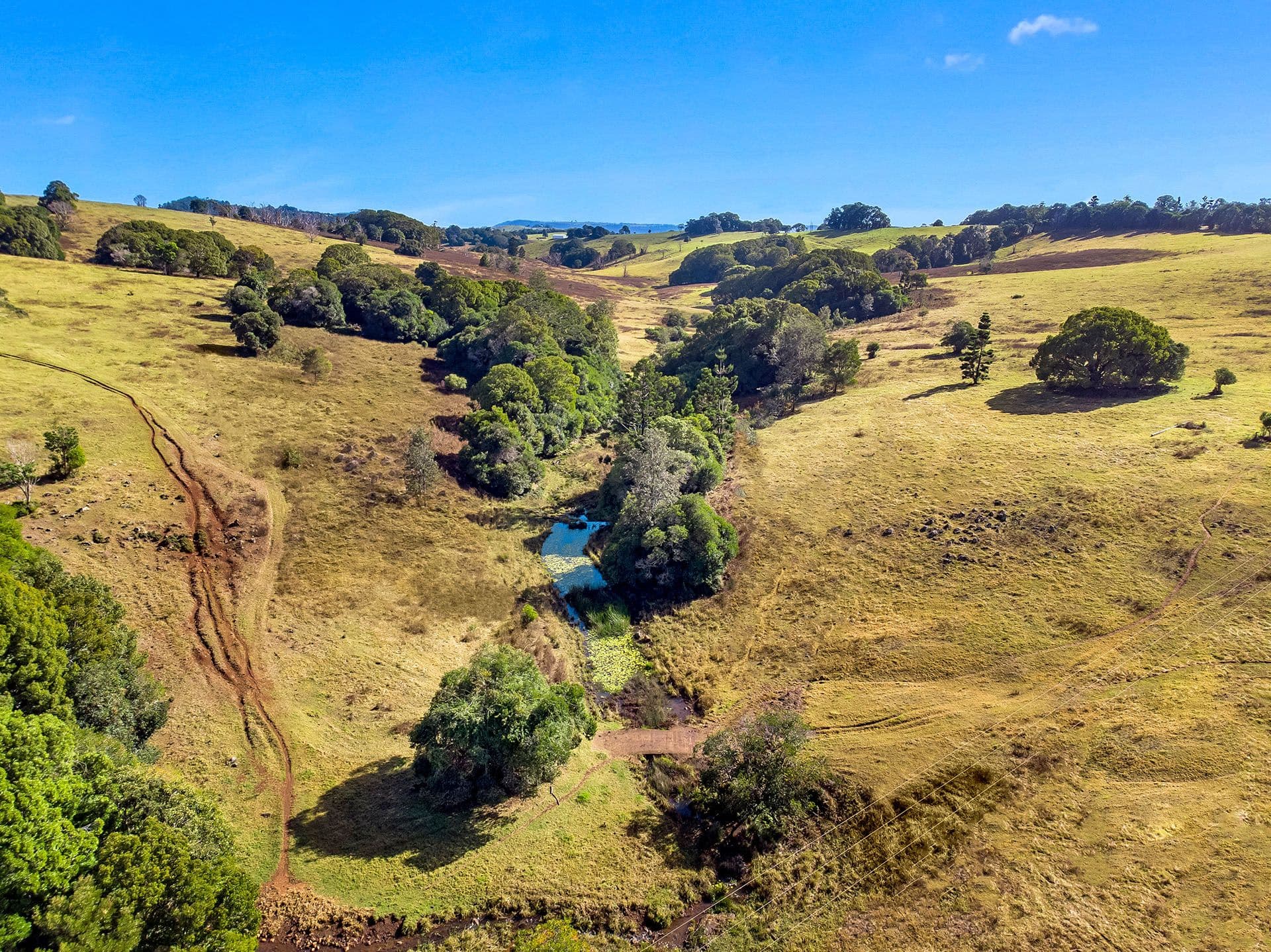 360 Binna Burra Road, Beechmont QLD 4211, Beechmont - Thumbnail 3