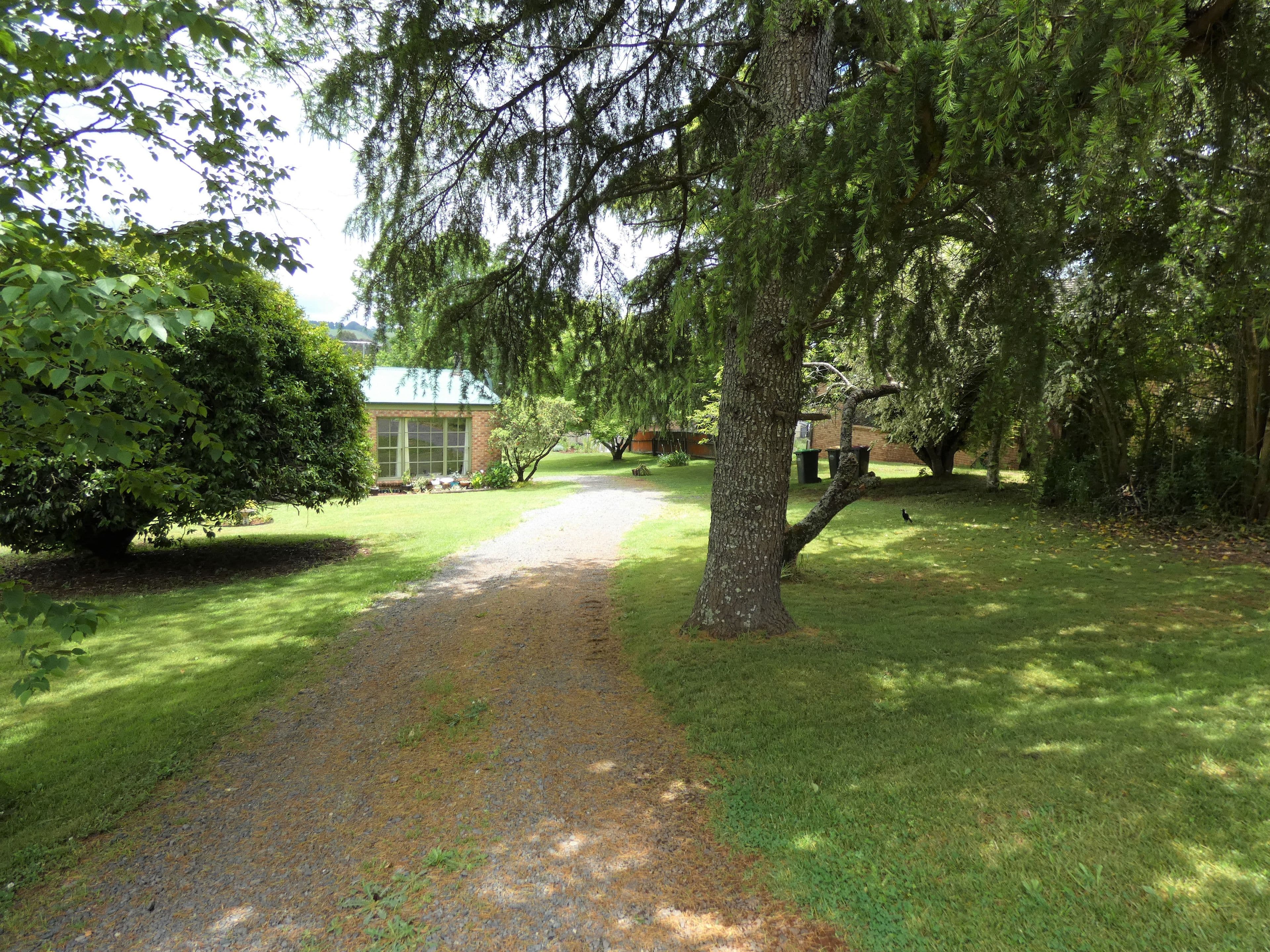 45 Myrtle Street, Dorrigo - Image 1