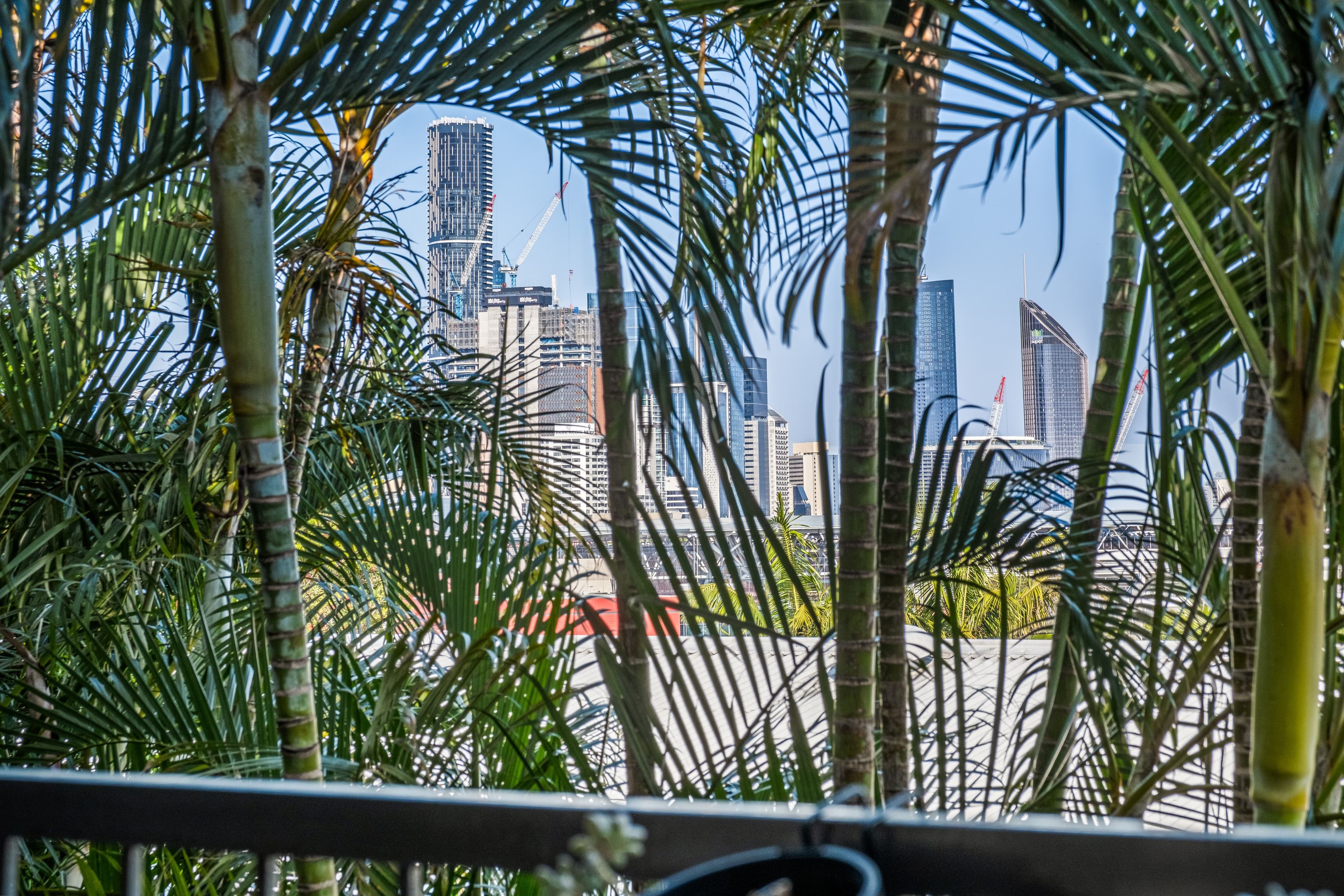 248 Given Terrace, Paddington QLD 4064, Paddington - Thumbnail 7