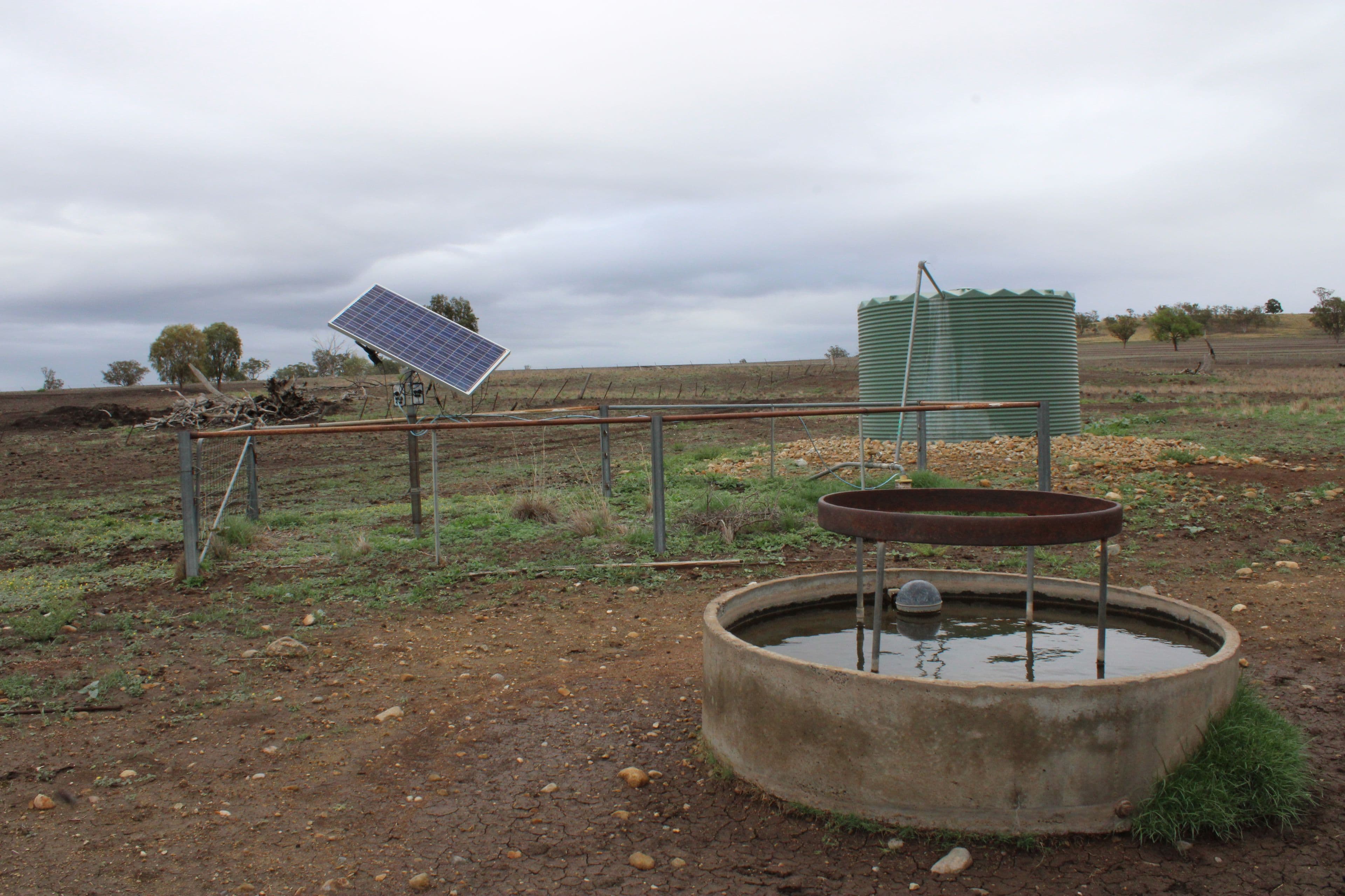 Inverell NSW 2360, Inverell - Thumbnail 4