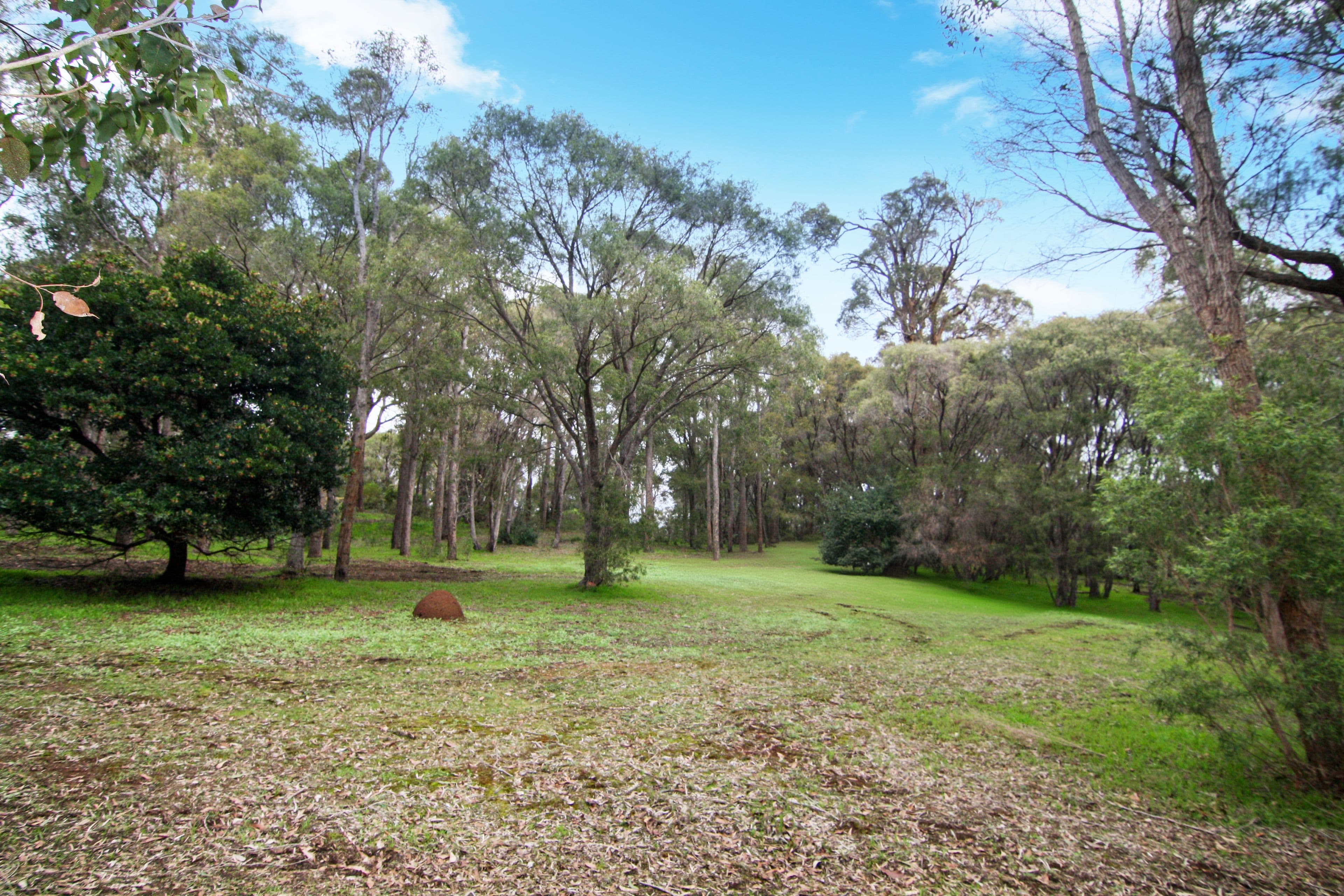 177 Kevill Road, Margaret River WA 6285, Margaret River - Thumbnail 8
