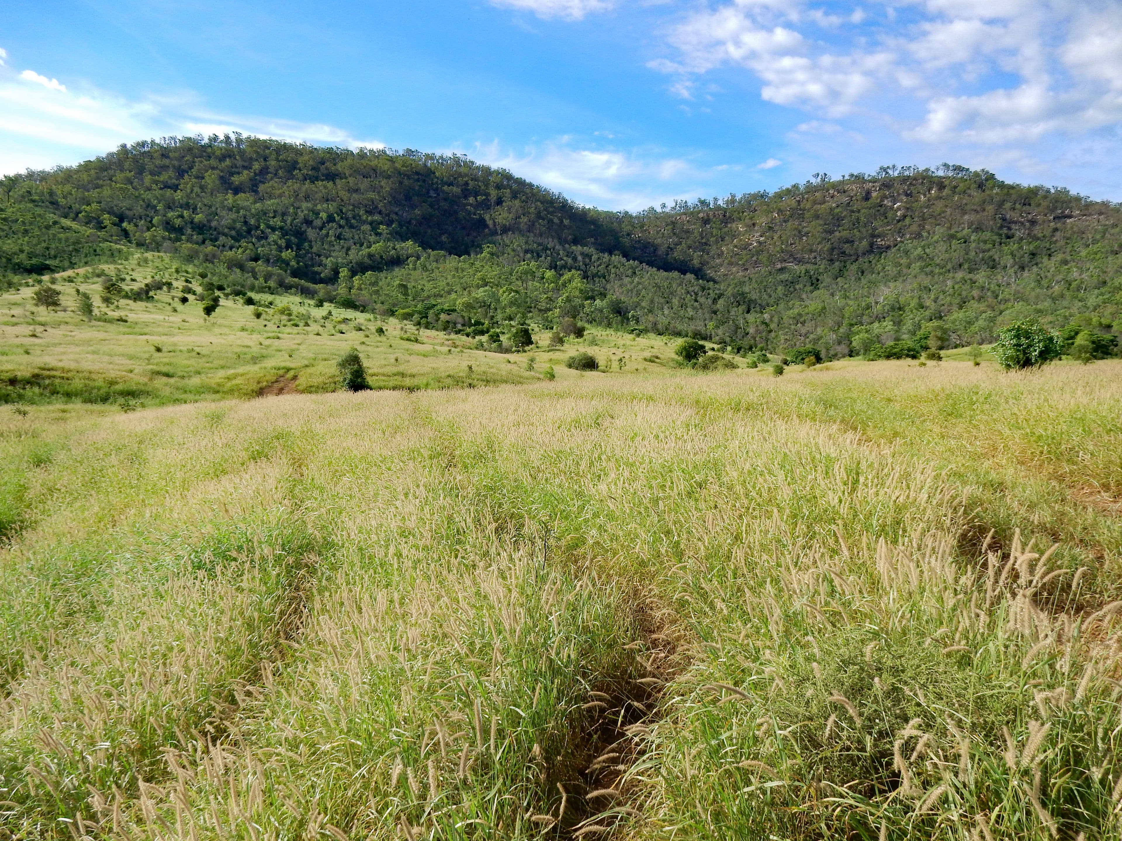 Dumgree QLD 4715, Dumgree - Thumbnail 3