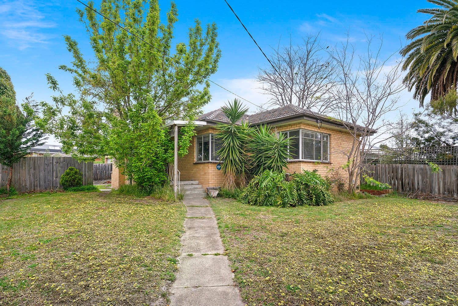 40A Latrobe Street, Mentone VIC 3194, Mentone - Thumbnail 2