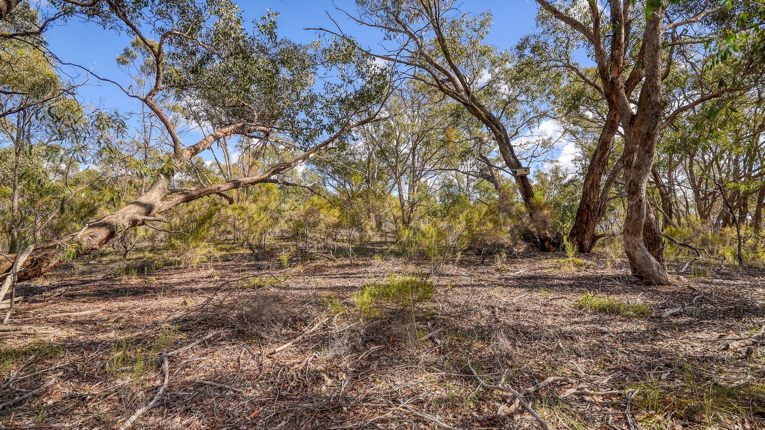 175 Pontings Lane, Bailieston VIC 3608, Bailieston - Thumbnail 5