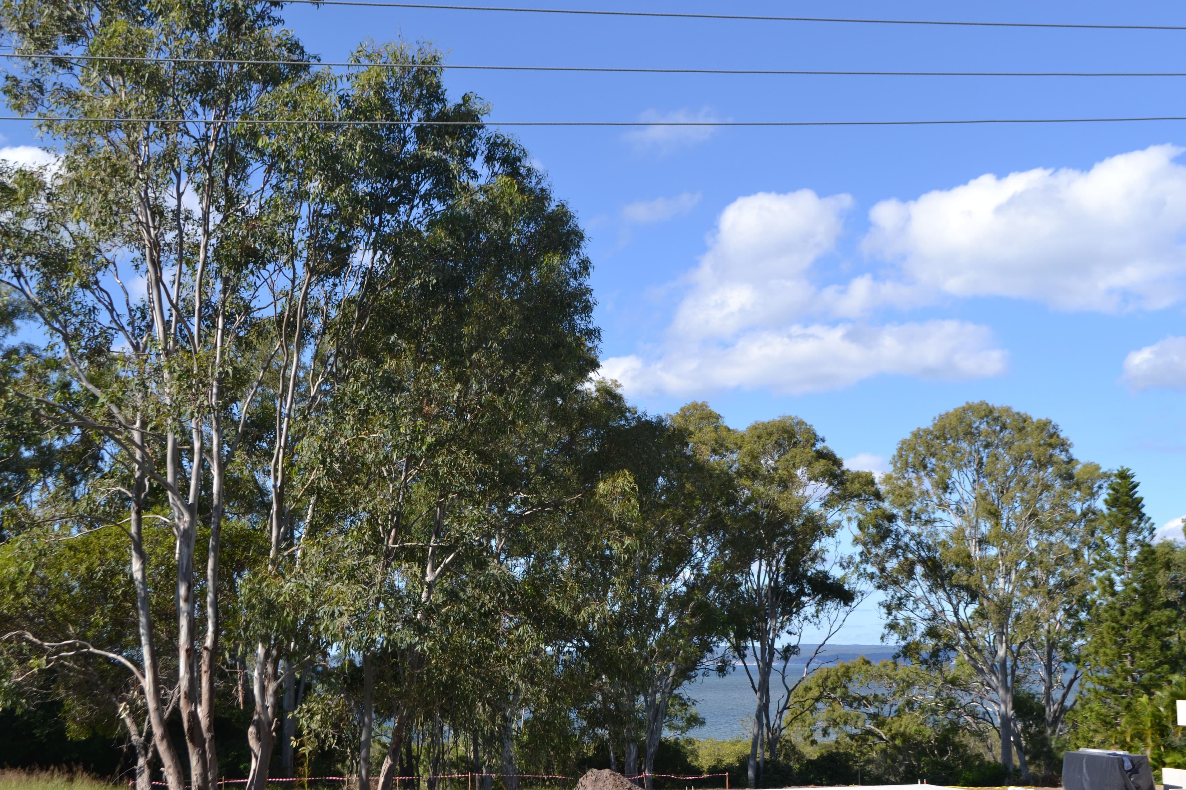7 Ferris Avenue, River Heads QLD 4655, River Heads - Thumbnail 2