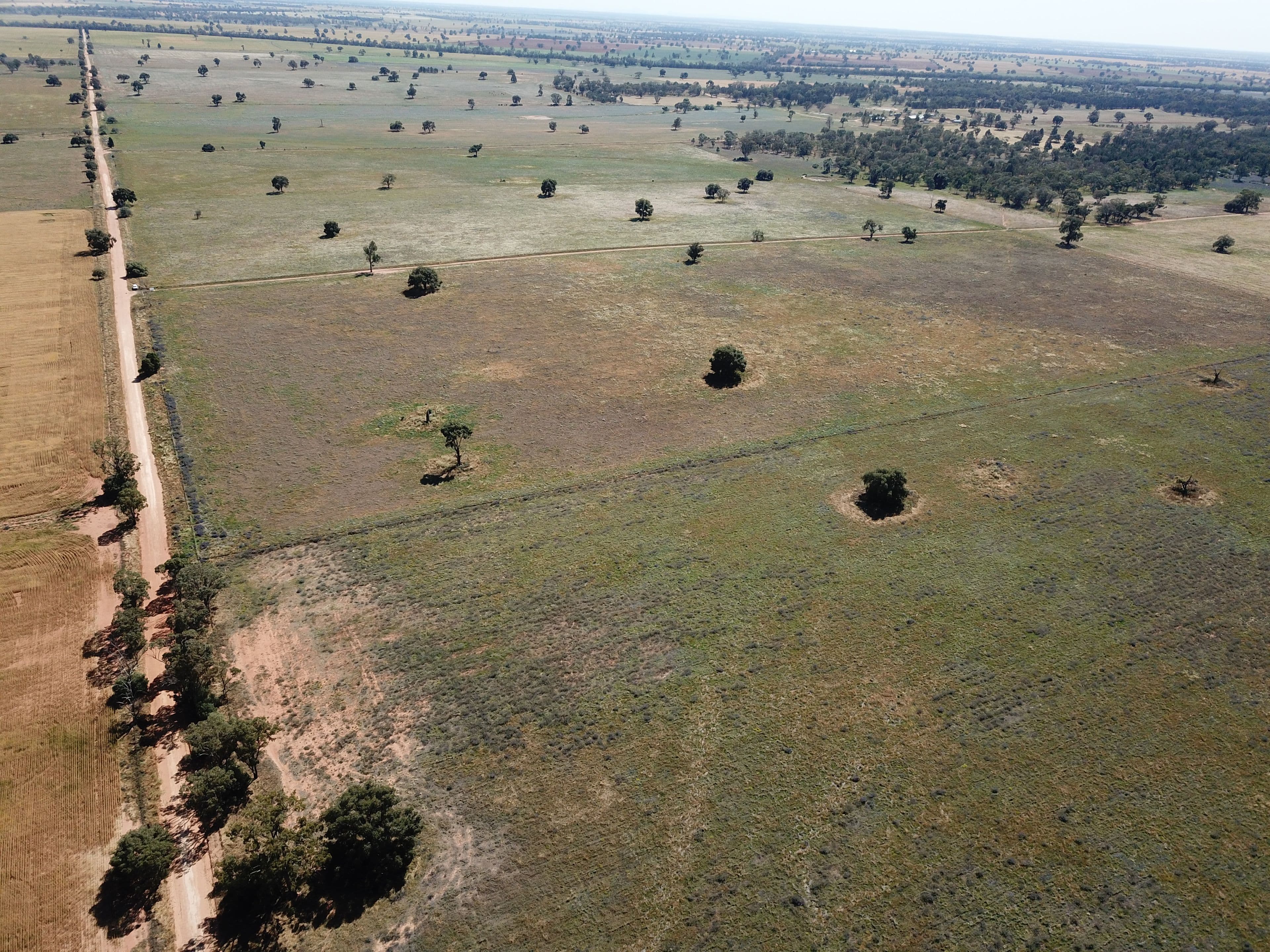 'Waratah' 176 Lincoln Lane, Narromine NSW 2821, Narromine - Thumbnail 4