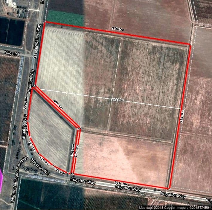 Farm 919 Irrigation Way, Whitton NSW 2705, Whitton - Image 1