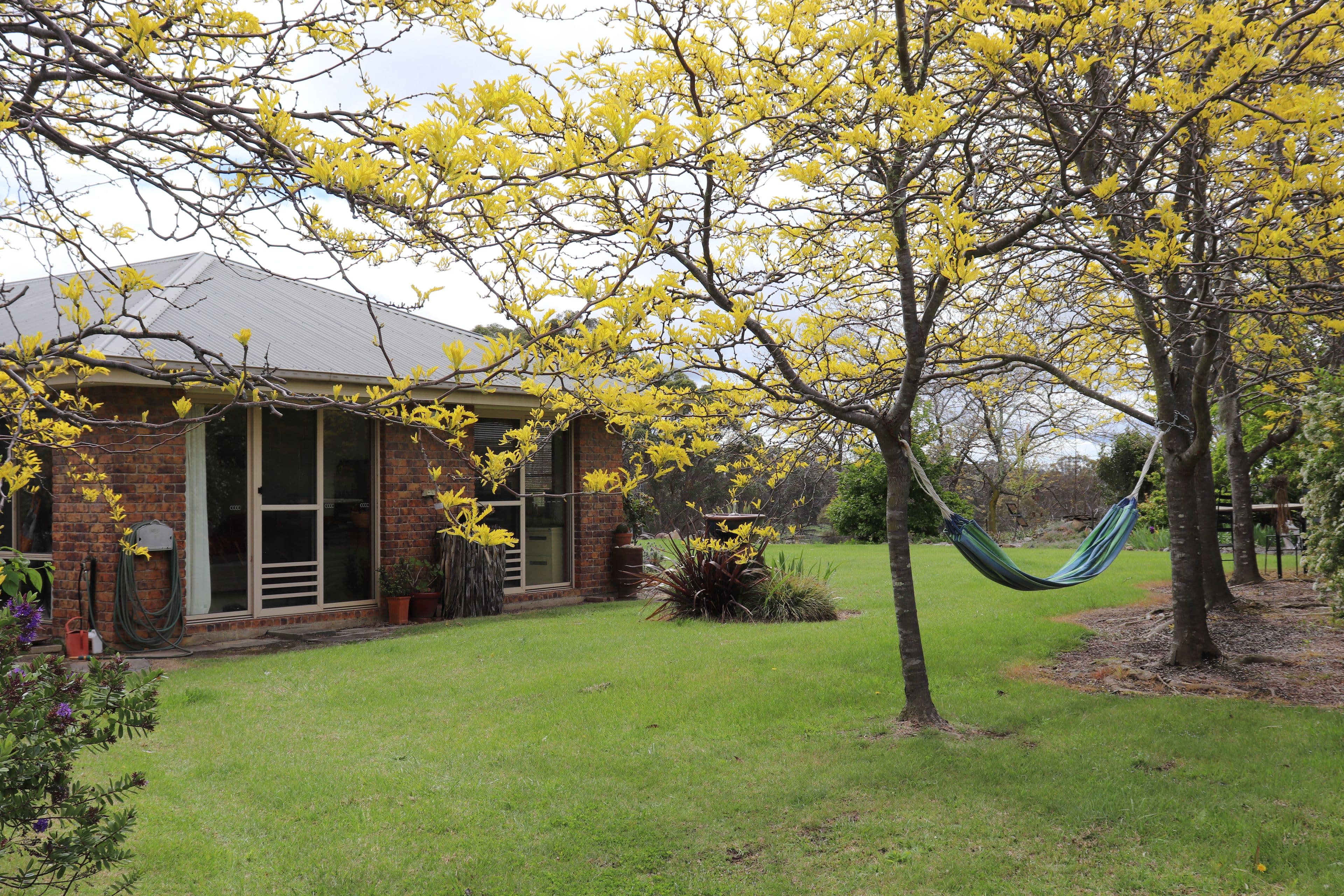 8 McGauran Lane, Glen Innes NSW 2370, Glen Innes - Thumbnail 8