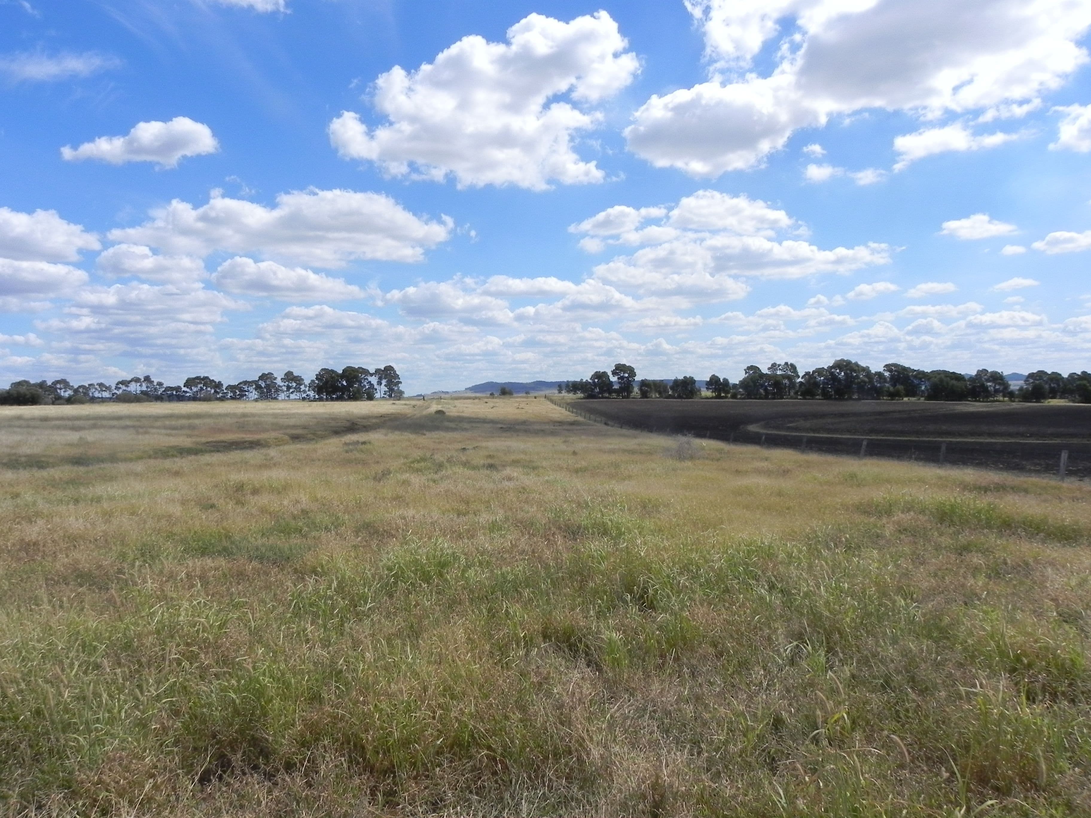 1075 Kooroongarra Road, Lavelle, Millmerran QLD 4357, Millmerran - Thumbnail 6