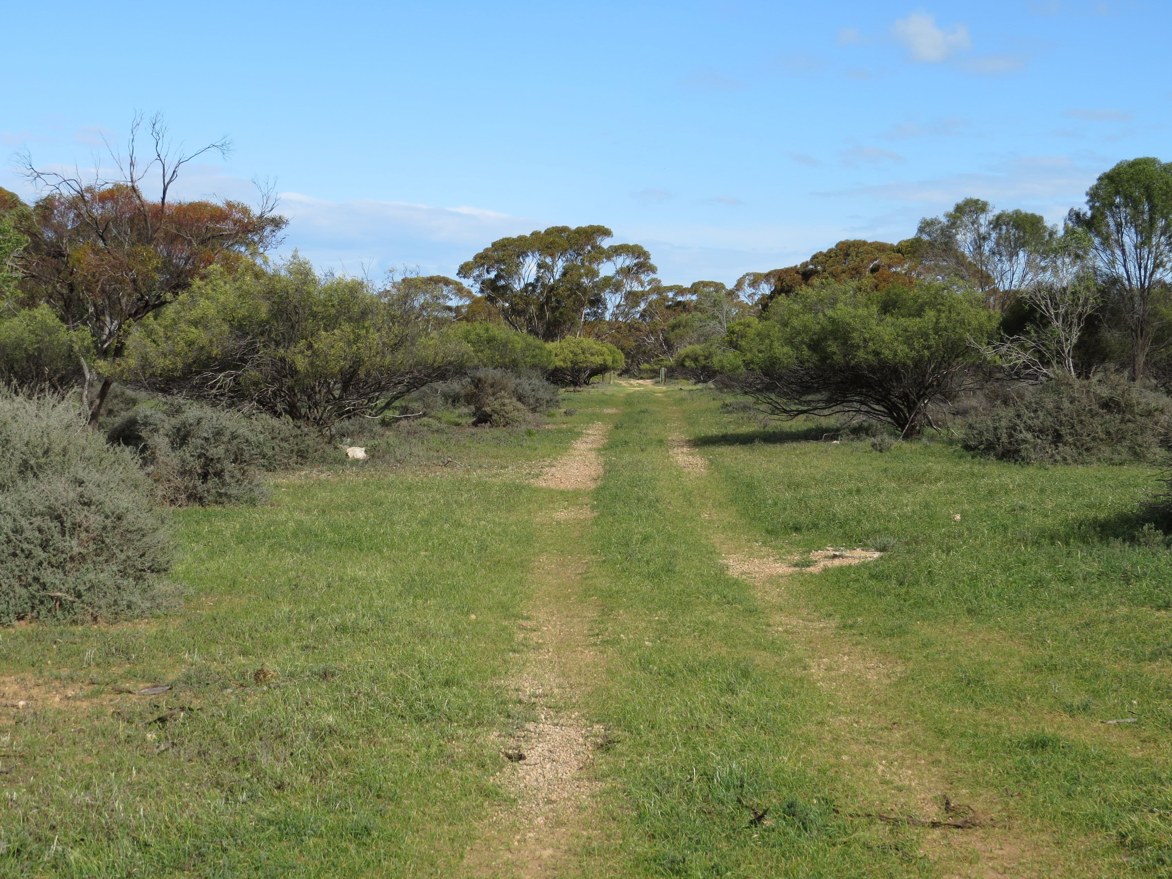 "Johns" Stock Route Road, Sutherlands SA 5374, Sutherlands - Thumbnail 3