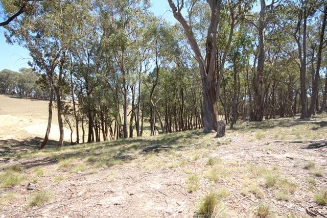 951 Campbells River Road, Isabella NSW 2795, Isabella - Thumbnail 2