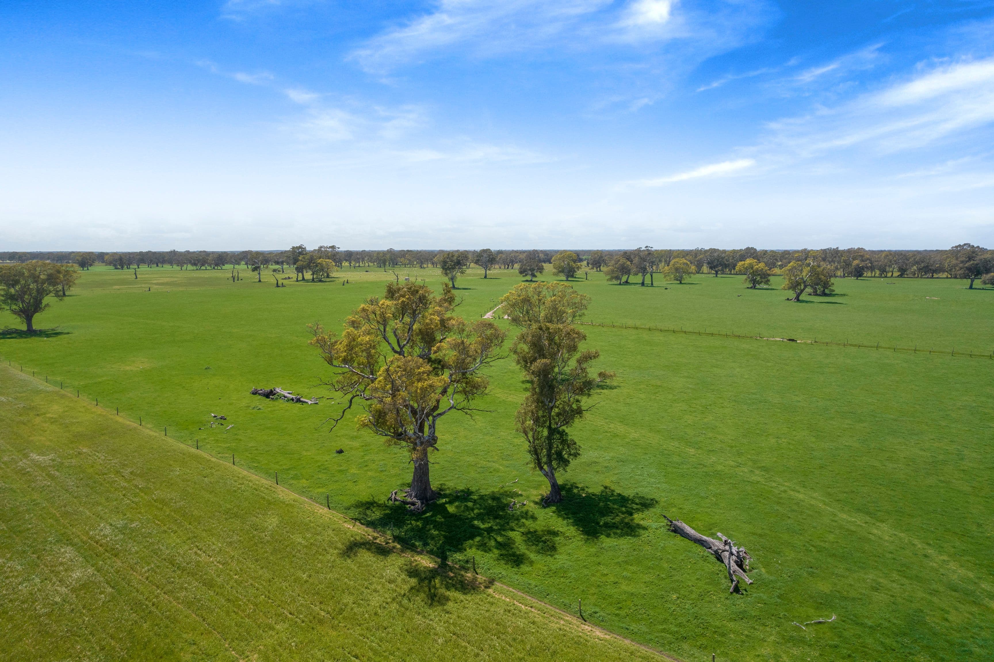 Lot 4 Richardson Road, Coonawarra SA 5263, Coonawarra - Thumbnail 5