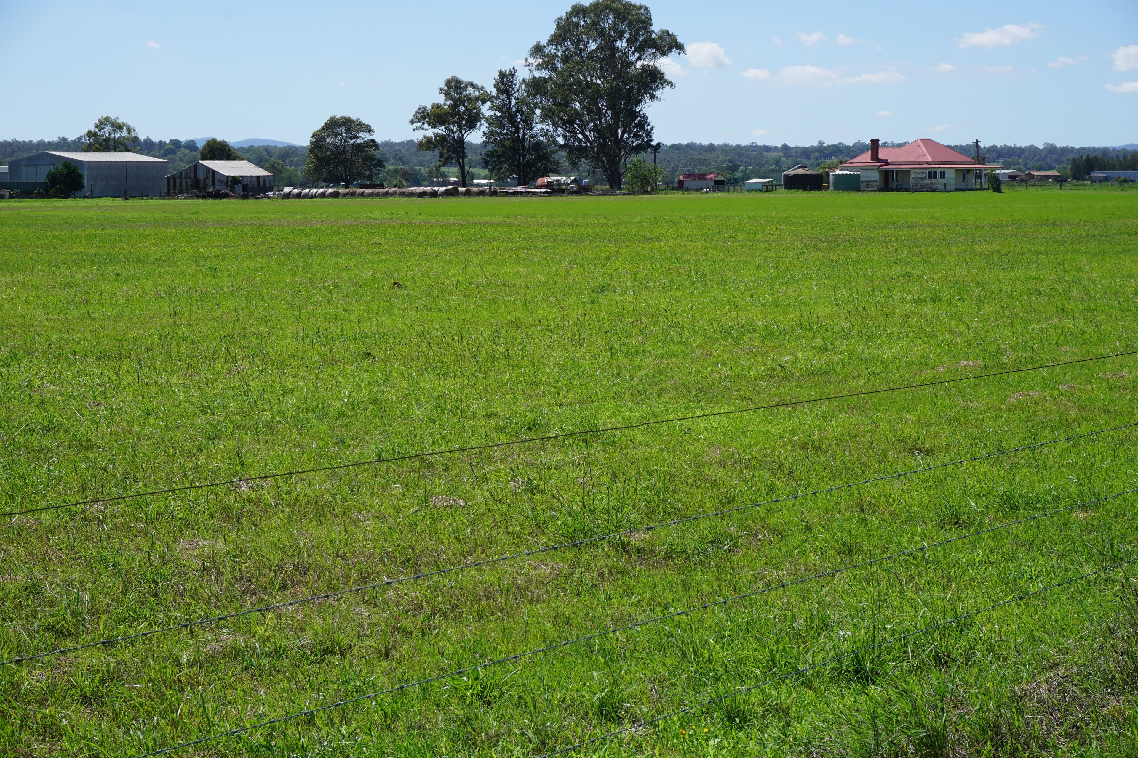 27 Whitefalls Lane, Singleton NSW 2330, Singleton - Thumbnail 5