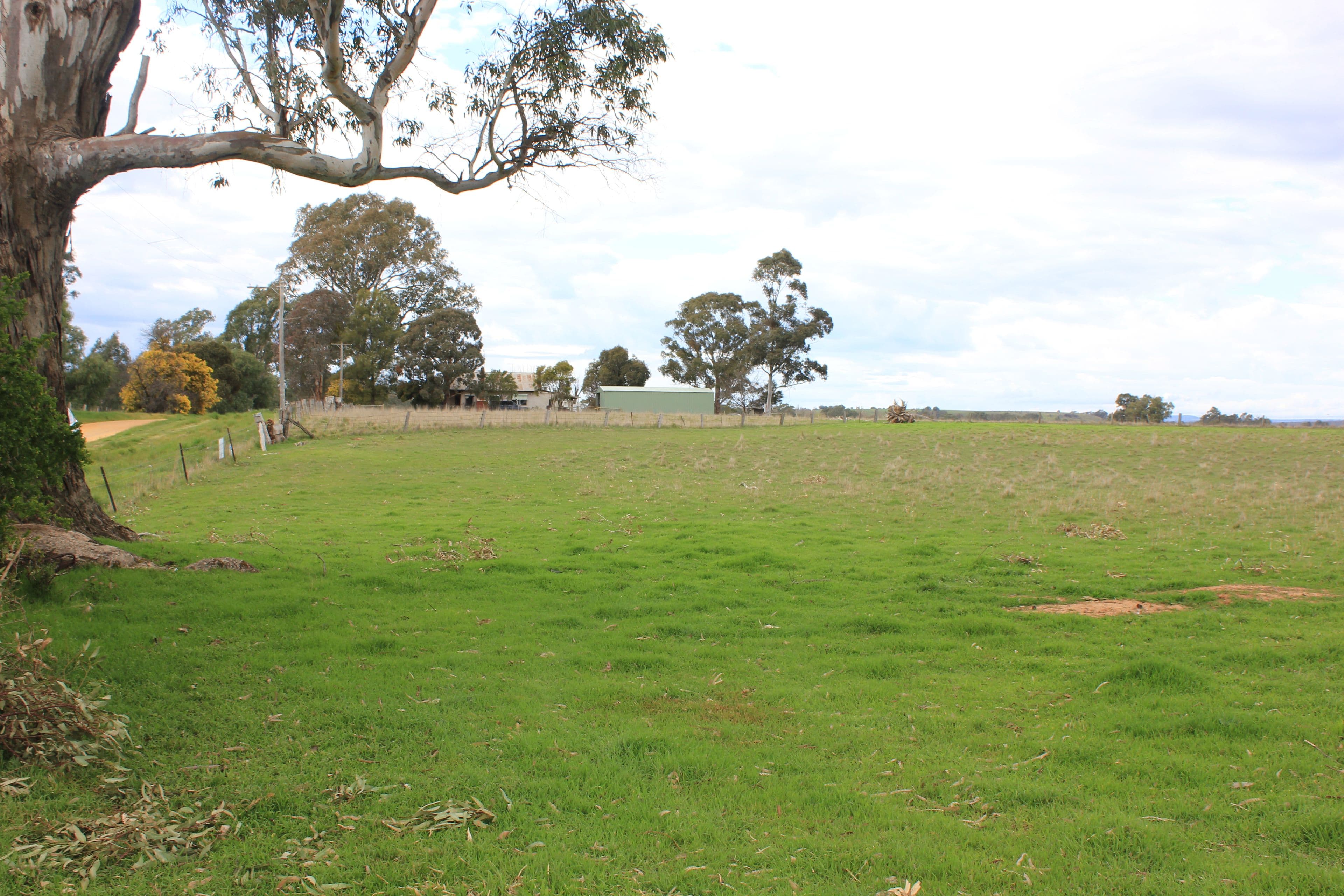 Newstead VIC 3462, Newstead - Image 1