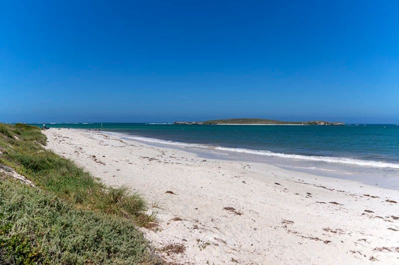 6 Desert Road, Lancelin WA 6044, Lancelin - Thumbnail 4