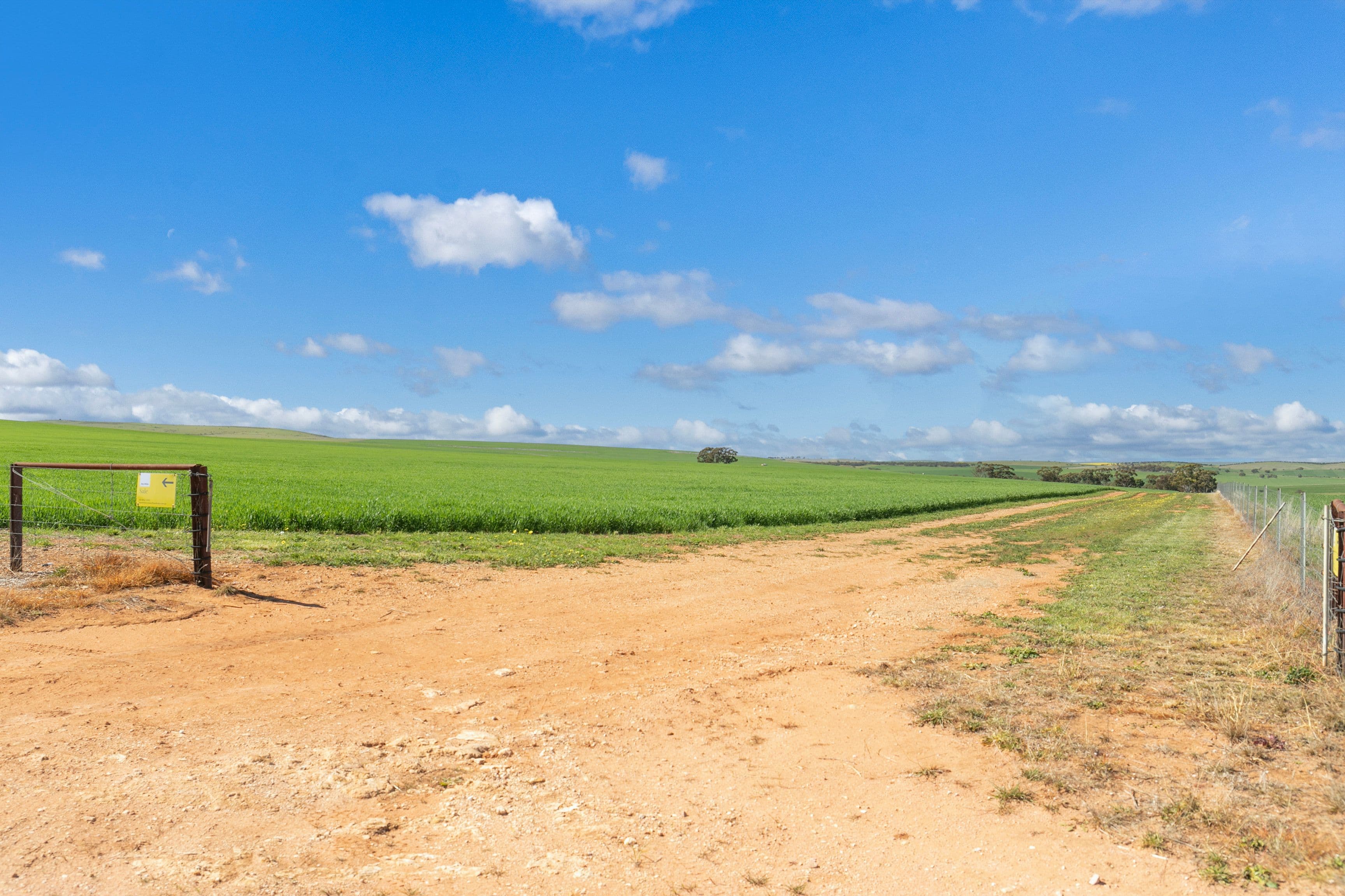 'Huddleston' Georgetown-Huddleston Road, Gladstone SA 5473, Gladstone - Thumbnail 8