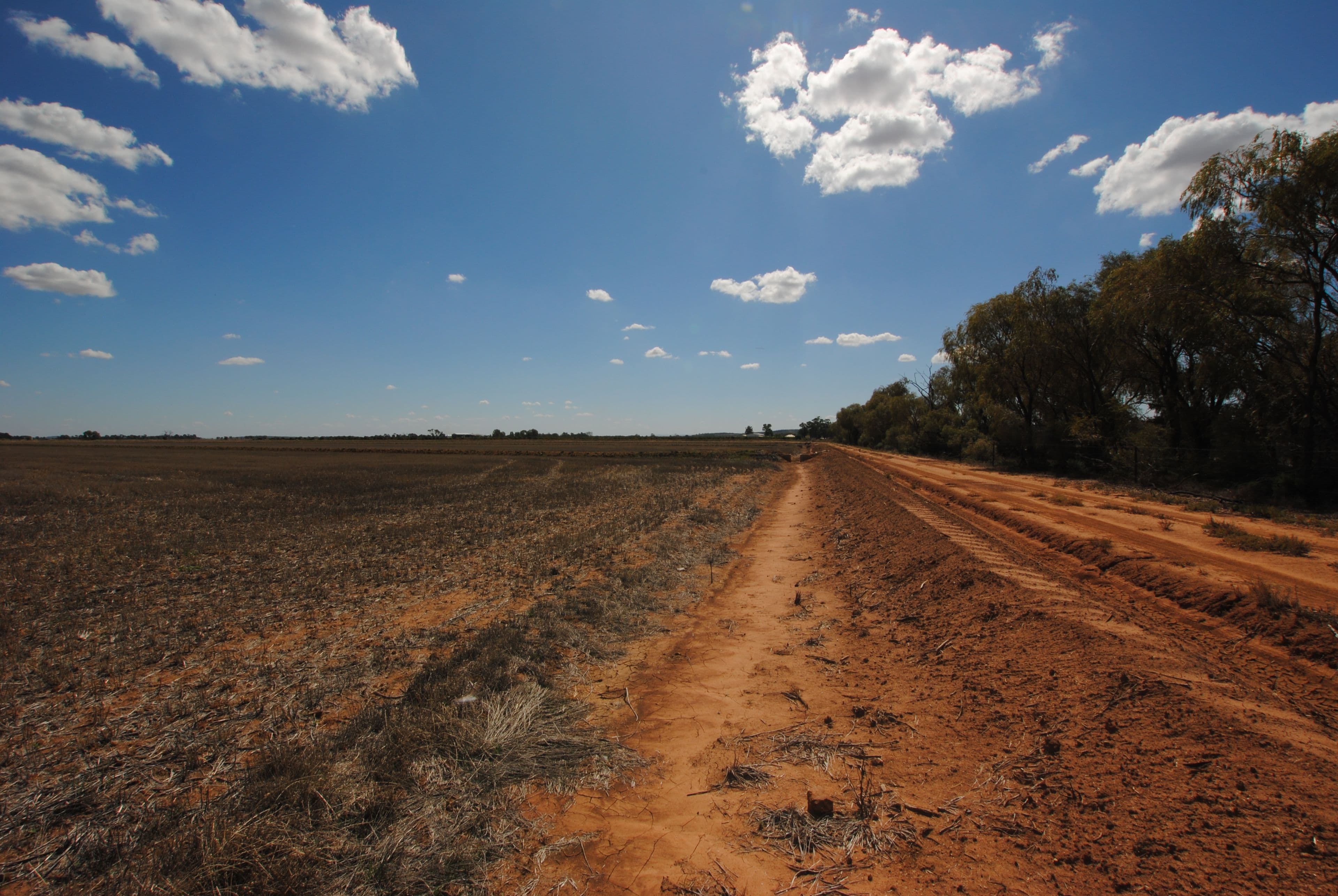 166 Collins Road, Leeton NSW 2705, Leeton - Thumbnail 8