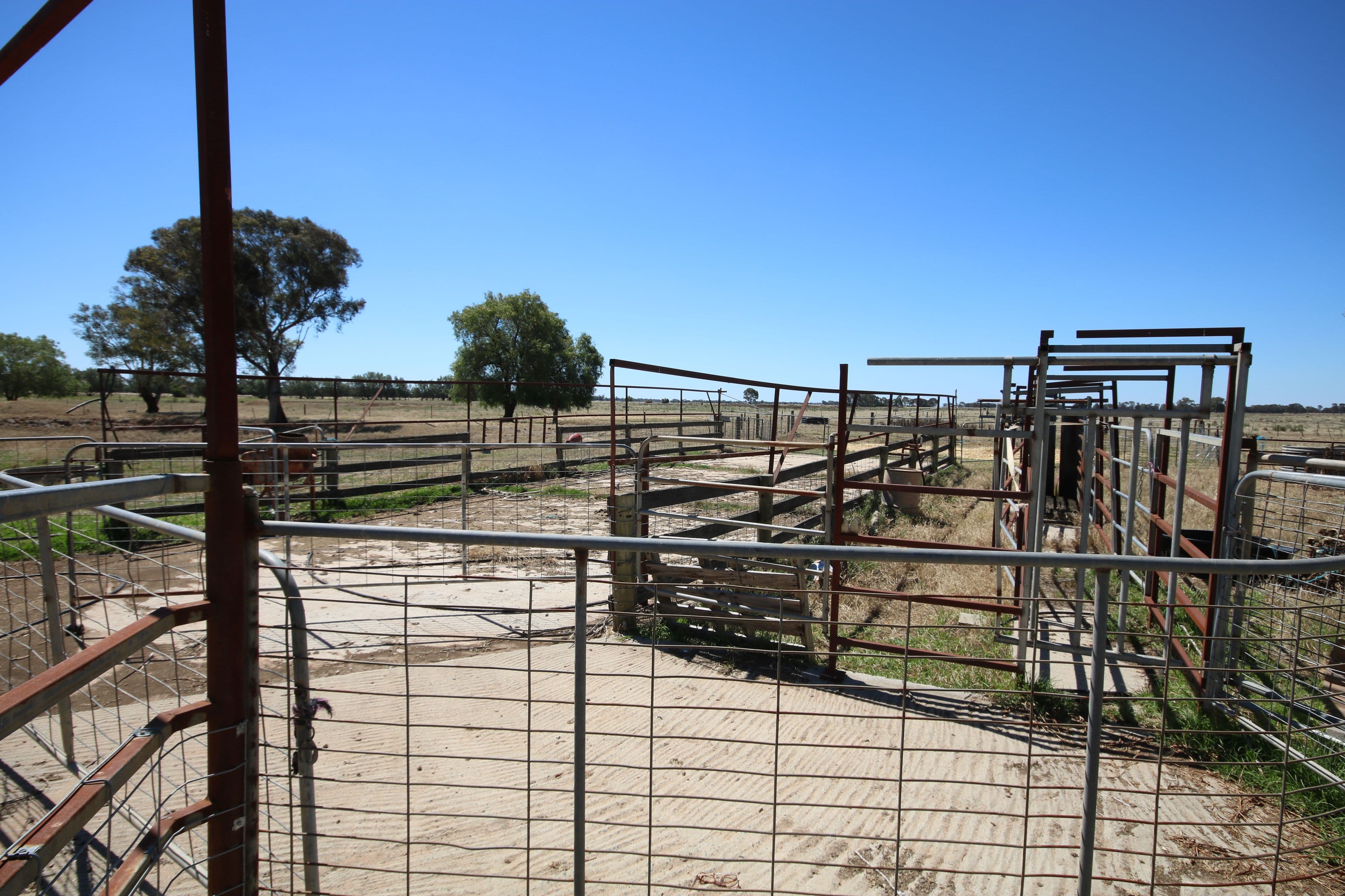 2298 Prairie-Rochester Road, Tennyson VIC 3572, Tennyson - Thumbnail 5