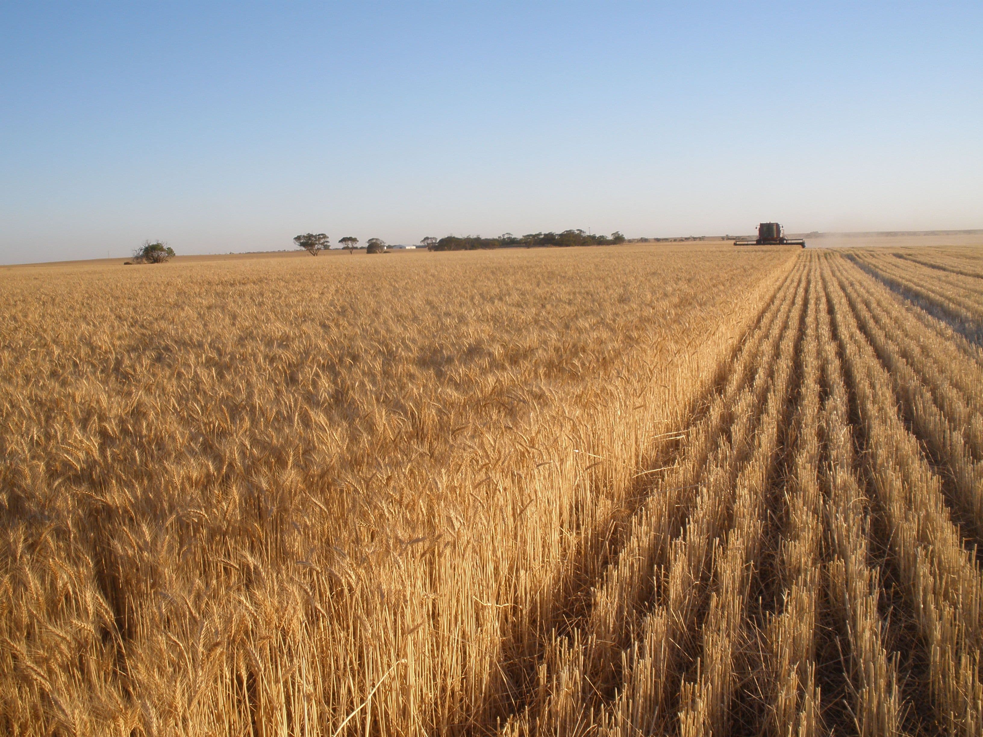 Secs 9 & 40 Kadina - Tickera Road, TICKERA SA 5555, Tickera - Image 1