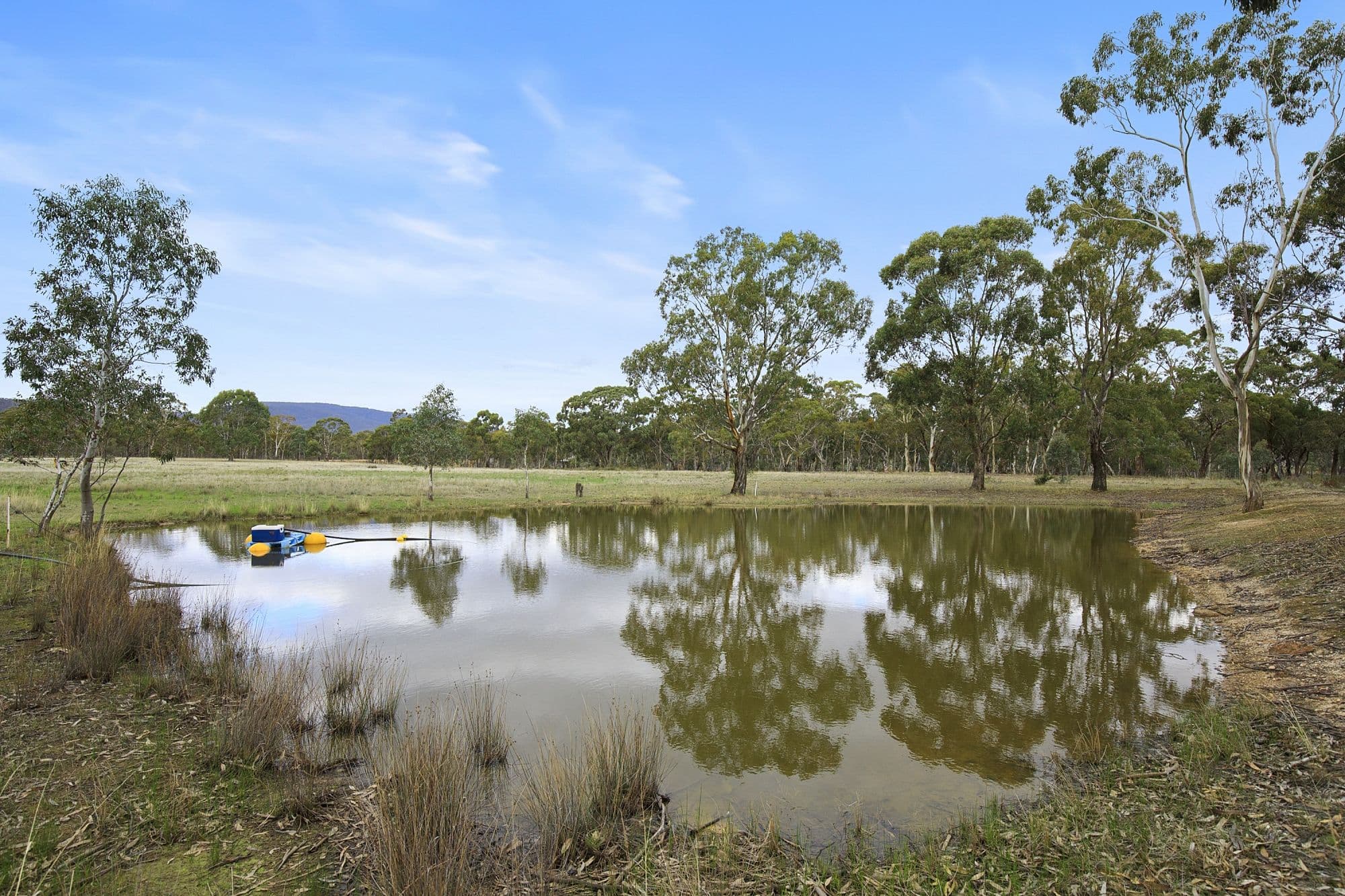 191 Landsborough-Elmhurst Road, Landsborough VIC 3384, Landsborough - Thumbnail 7
