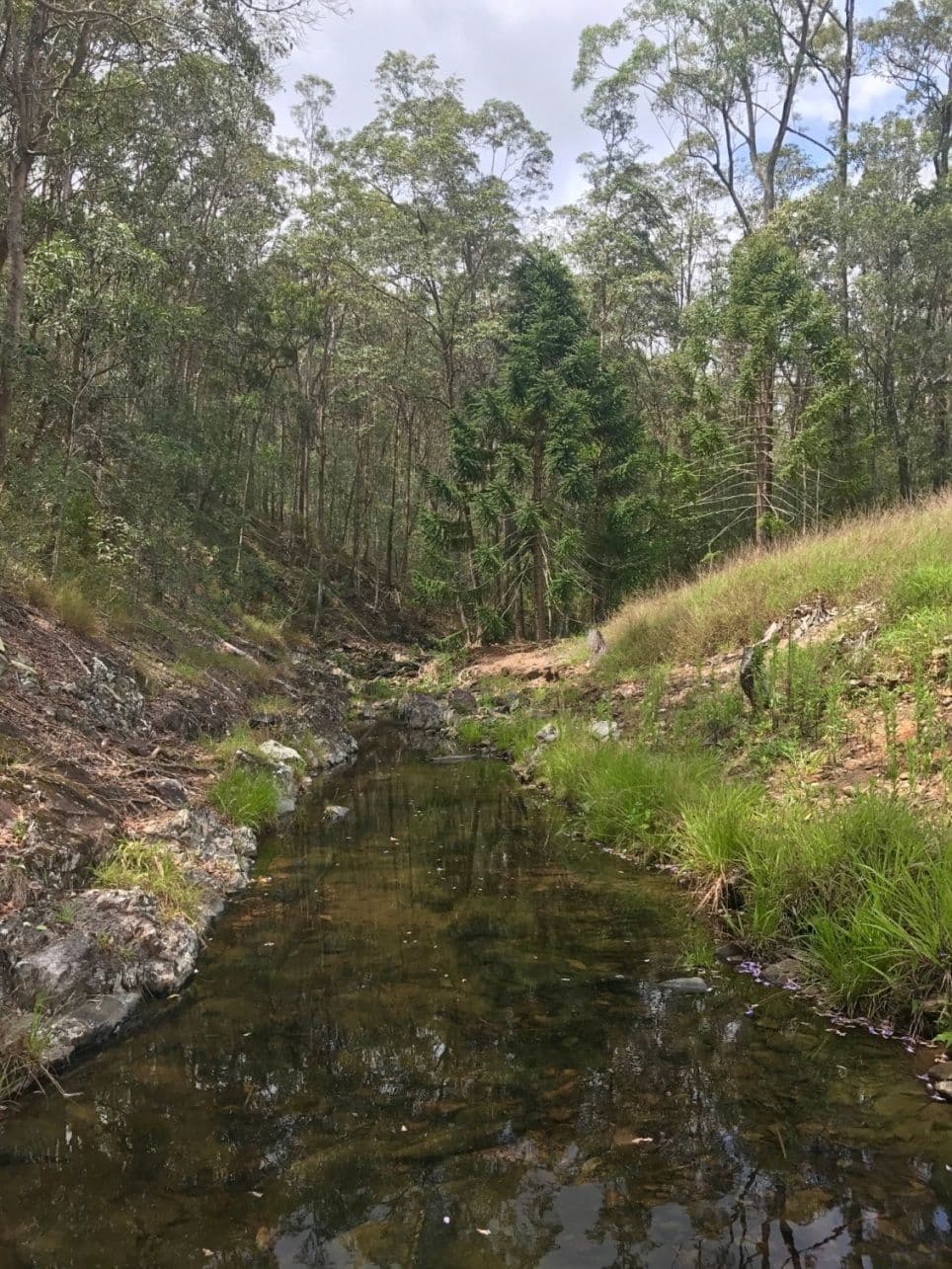 126 Blacks Road, Kingsholme QLD 4208, Kingsholme - Thumbnail 8
