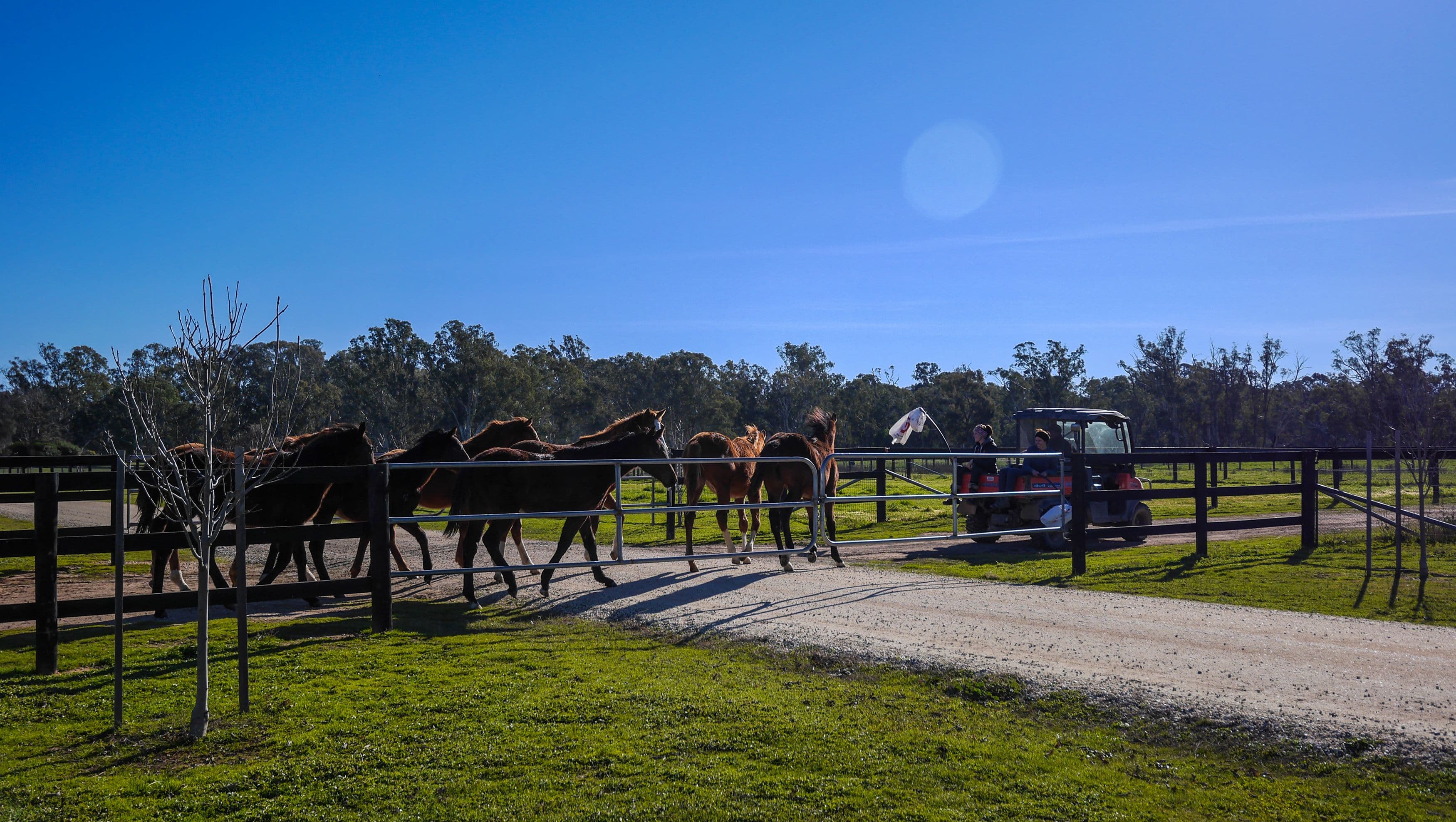 87 Morrissy Lane, Nagambie VIC 3608, Nagambie - Thumbnail 6