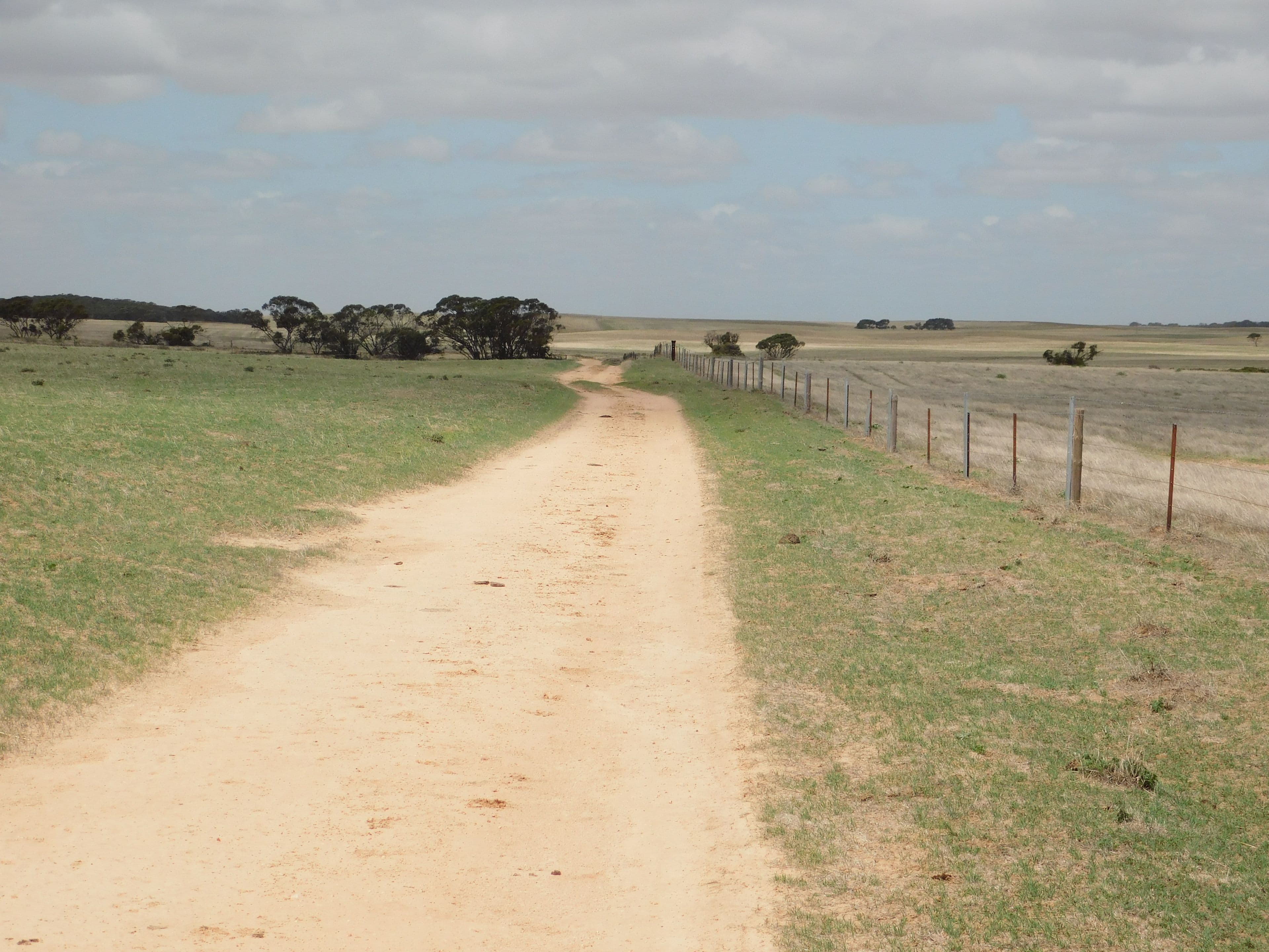 603 DAY Road, Lameroo SA 5302, Lameroo - Thumbnail 5