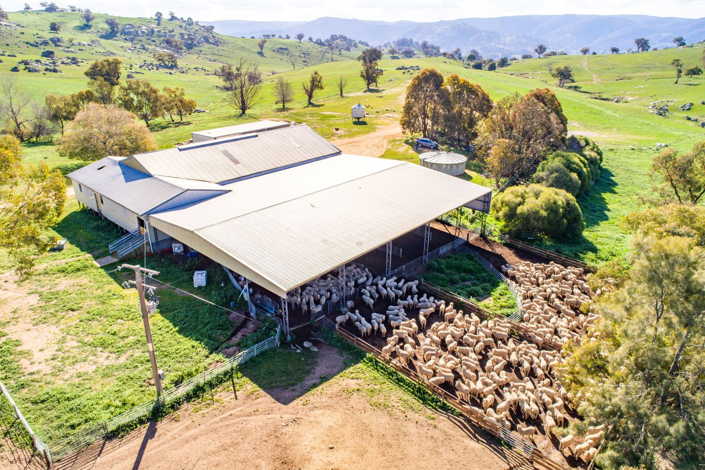 635 Decca Road, Bigga NSW 2583, Bigga - Image 1
