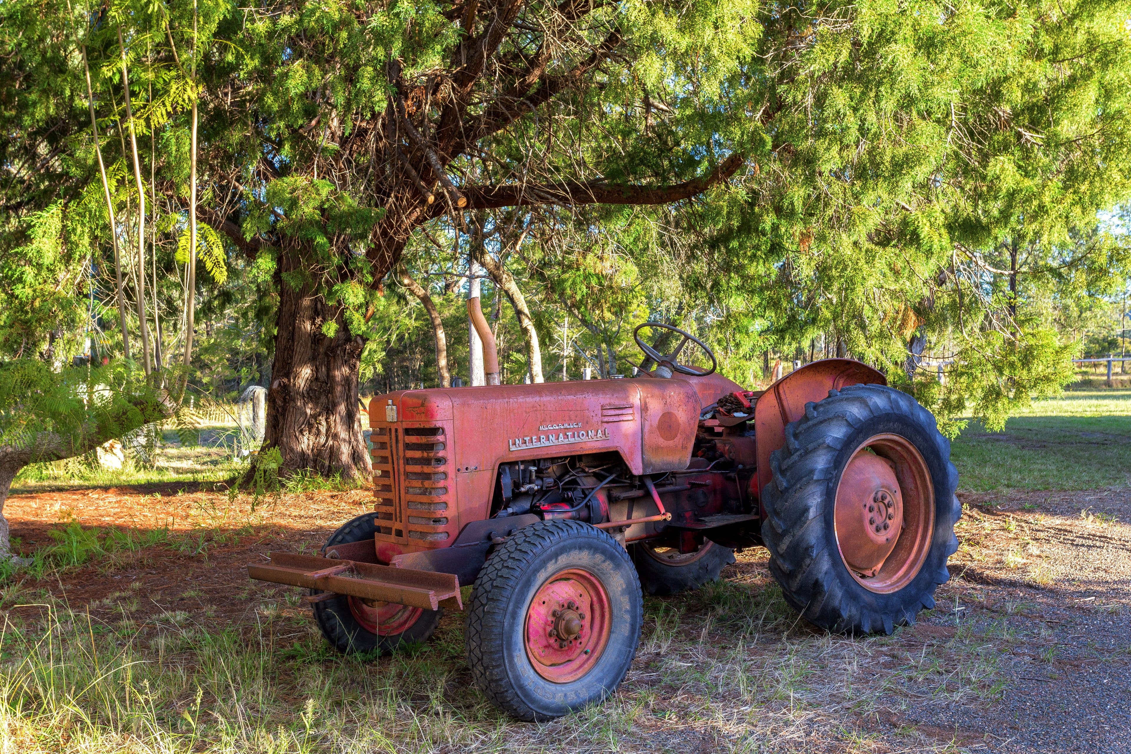 423 Cedar Party Road, Wingham NSW 2429, Wingham - Image 1