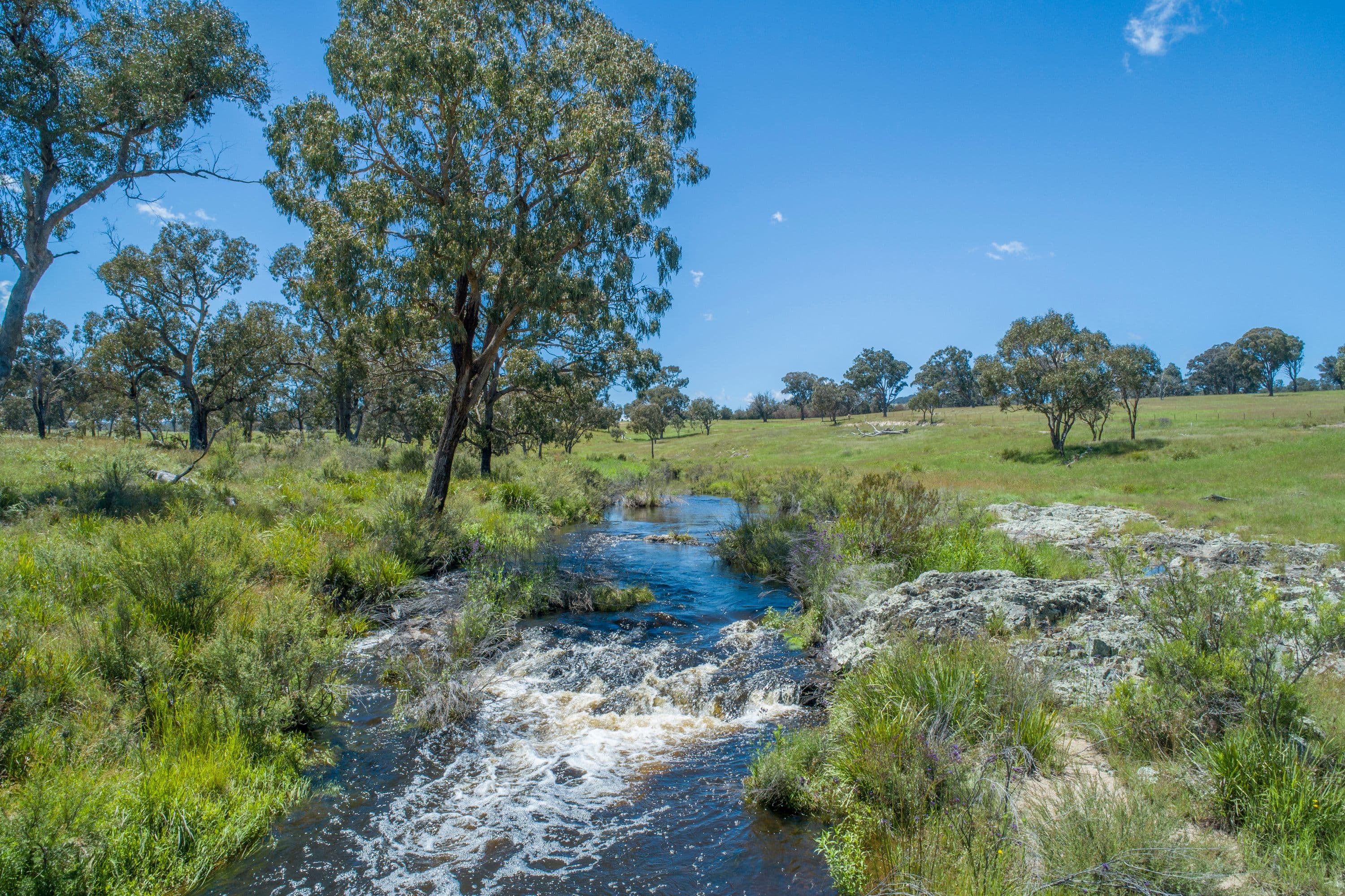 408 Bezzants Road, Deepwater NSW 2371, Deepwater - Thumbnail 3
