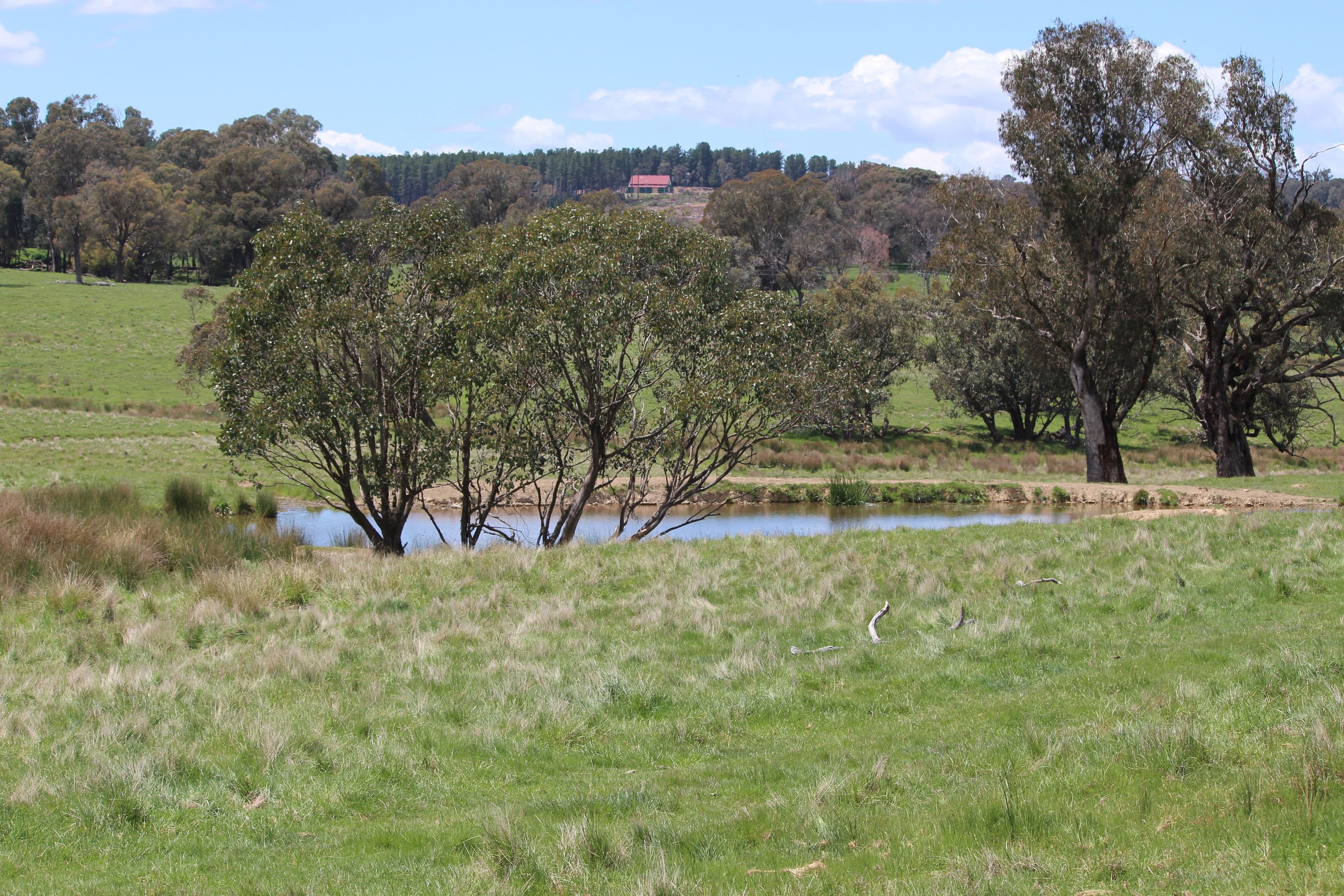 185 Old Taradale Road, Rosewood NSW 2652, Rosewood - Thumbnail 5
