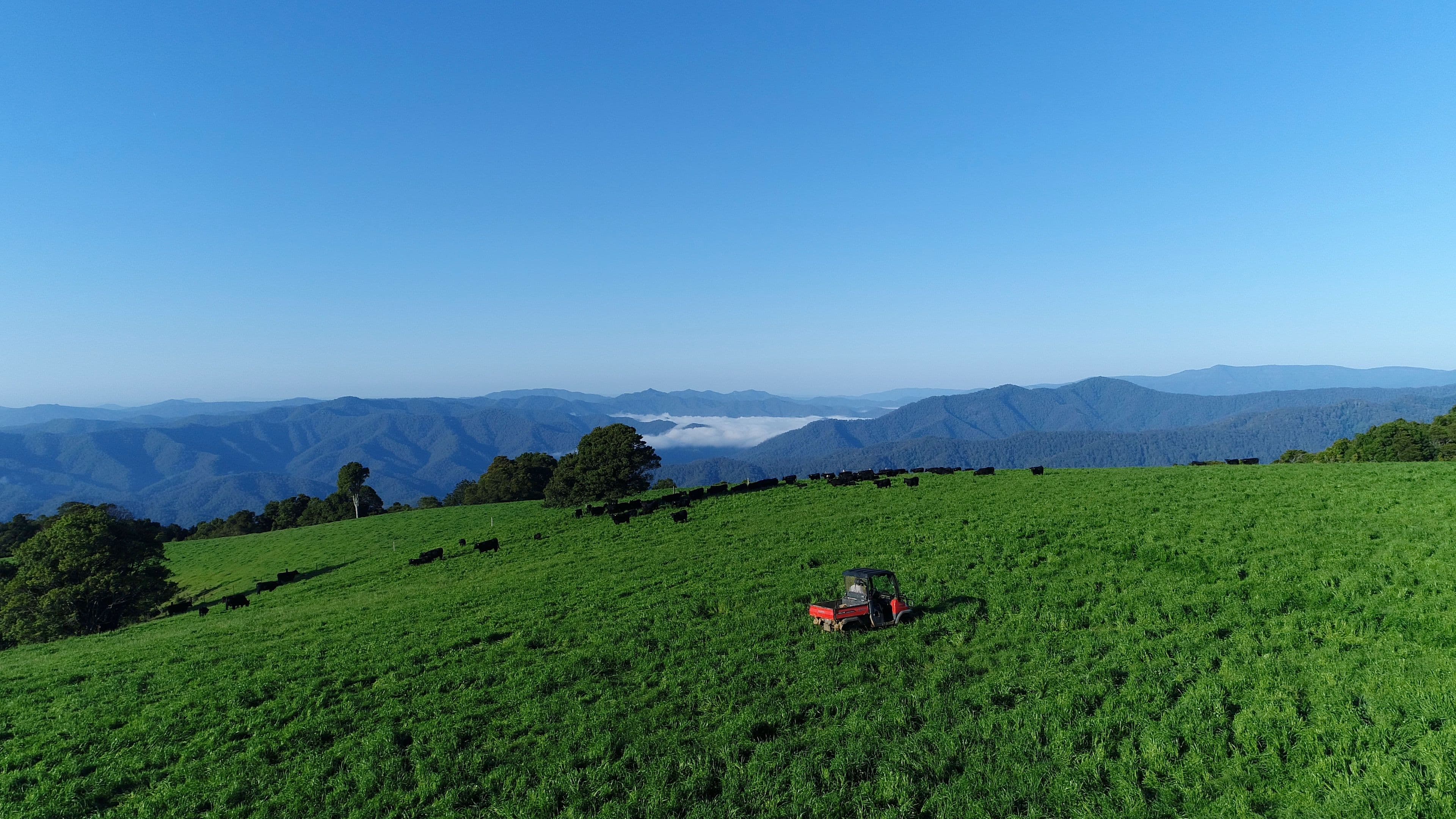 Dorrigo NSW 2453, Dorrigo - Thumbnail 2