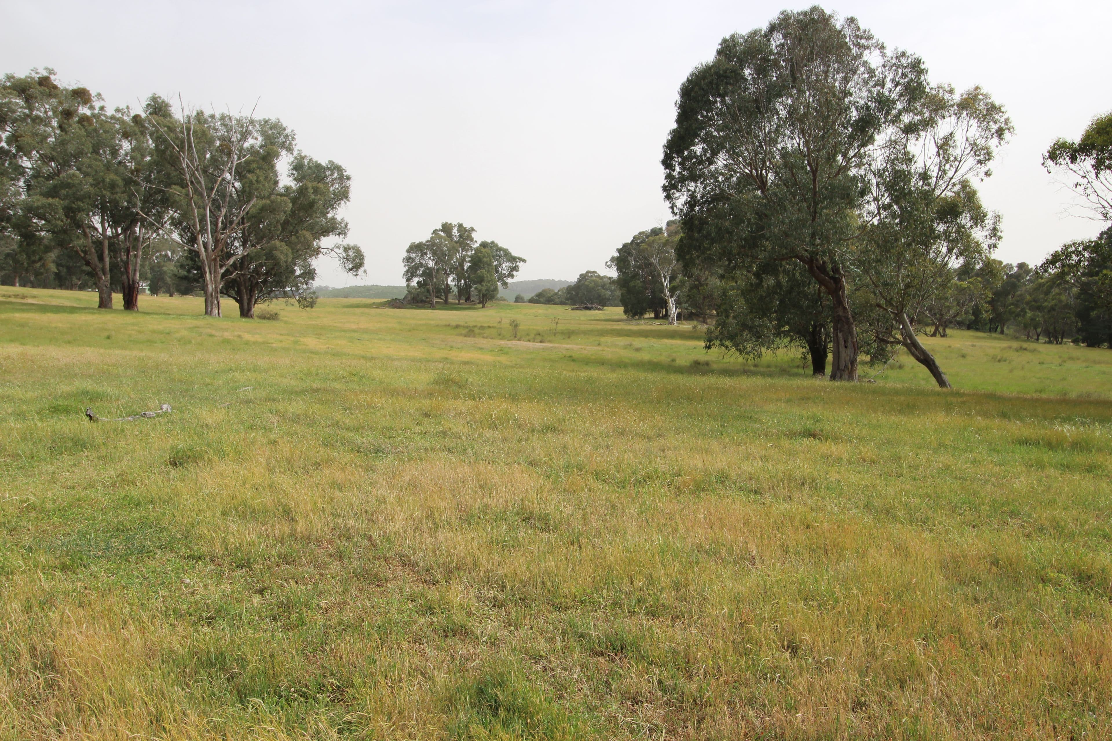 1126 Munderoo Road, Munderoo NSW 2653, Munderoo - Thumbnail 8