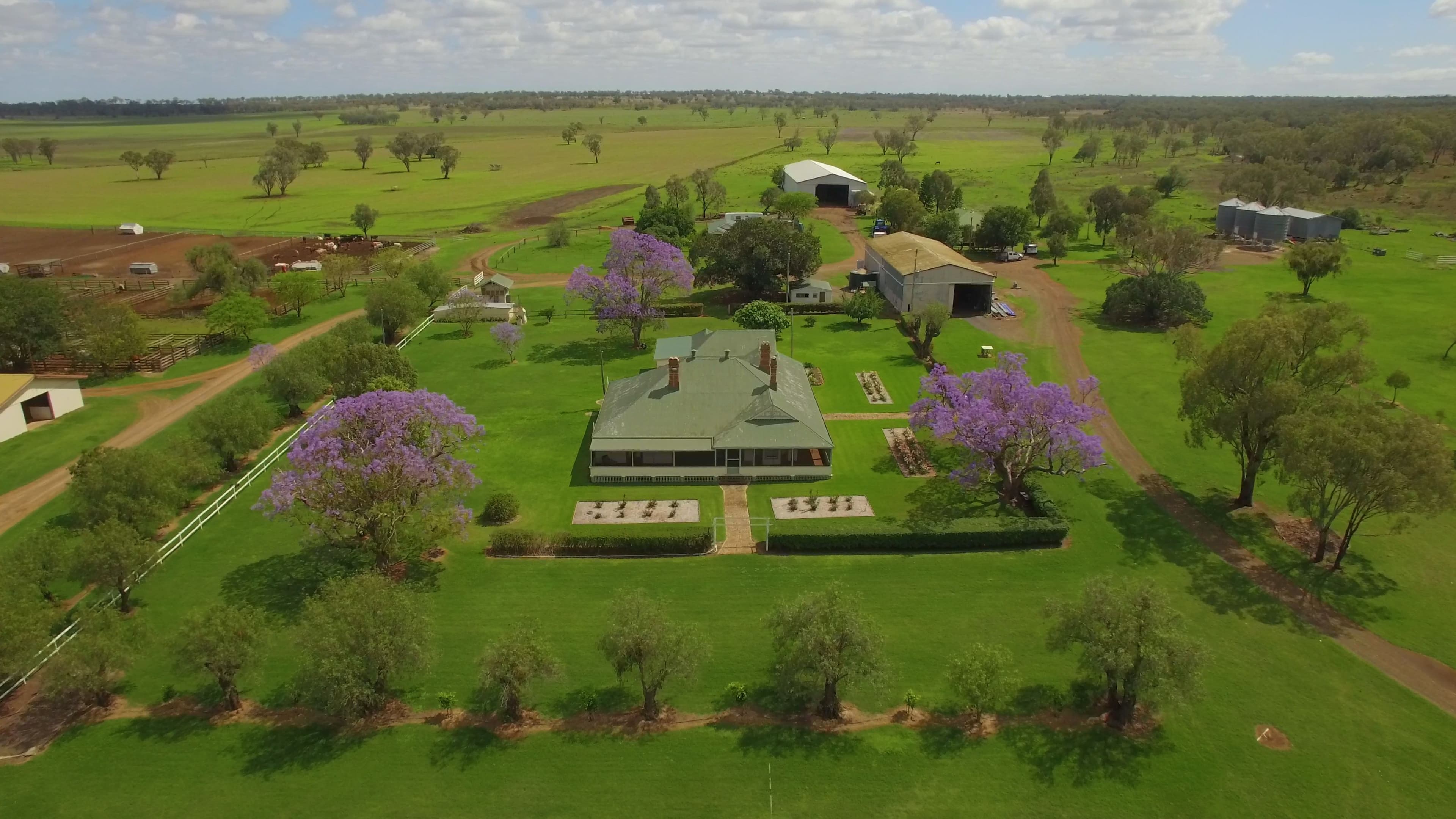 1251 Bunya Highway, Dalby QLD 4405, Dalby - Image 1