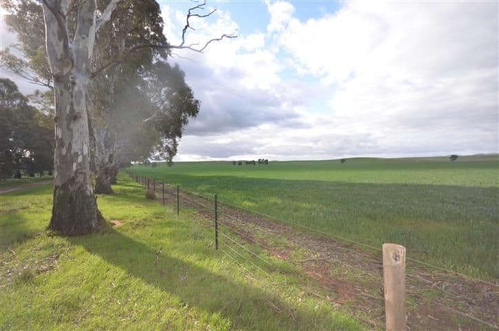 "Wandowie" 41 Pipeline Road, Leighton SA 5417, Leighton - Thumbnail 5