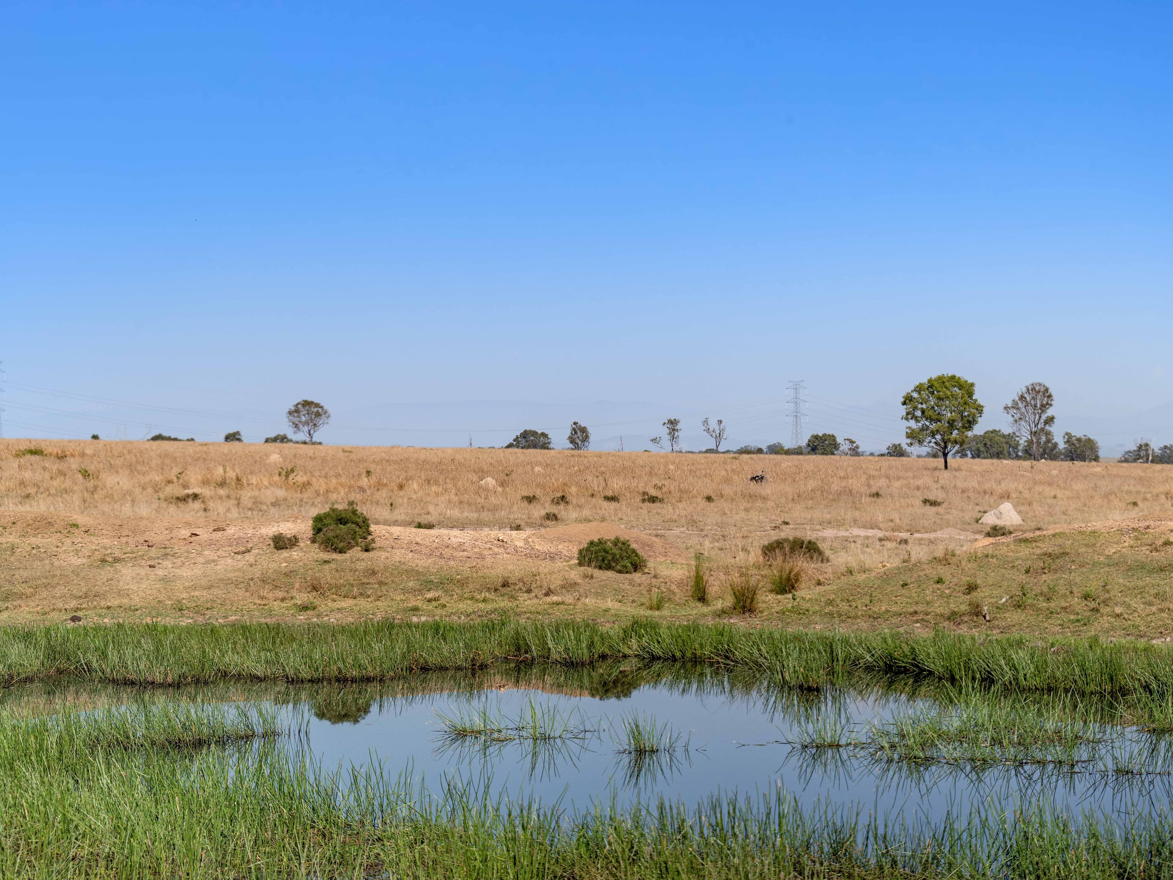 Unnamed Road, Mount Forbes QLD 4340, Mount Forbes - Thumbnail 7