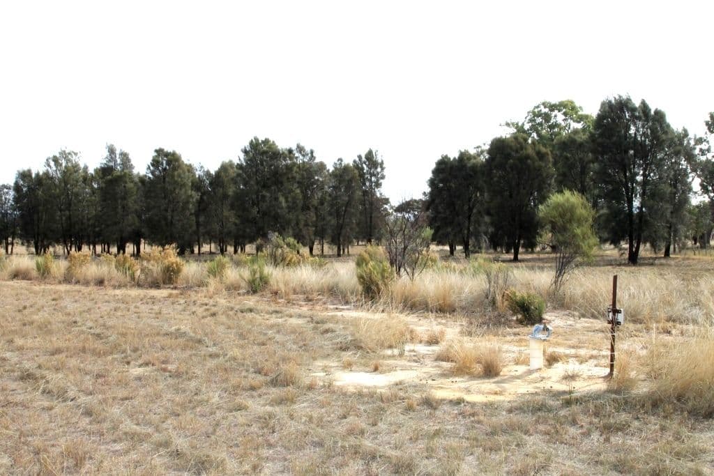 166 Werribee Road, Premer NSW 2381, Premer - Thumbnail 8