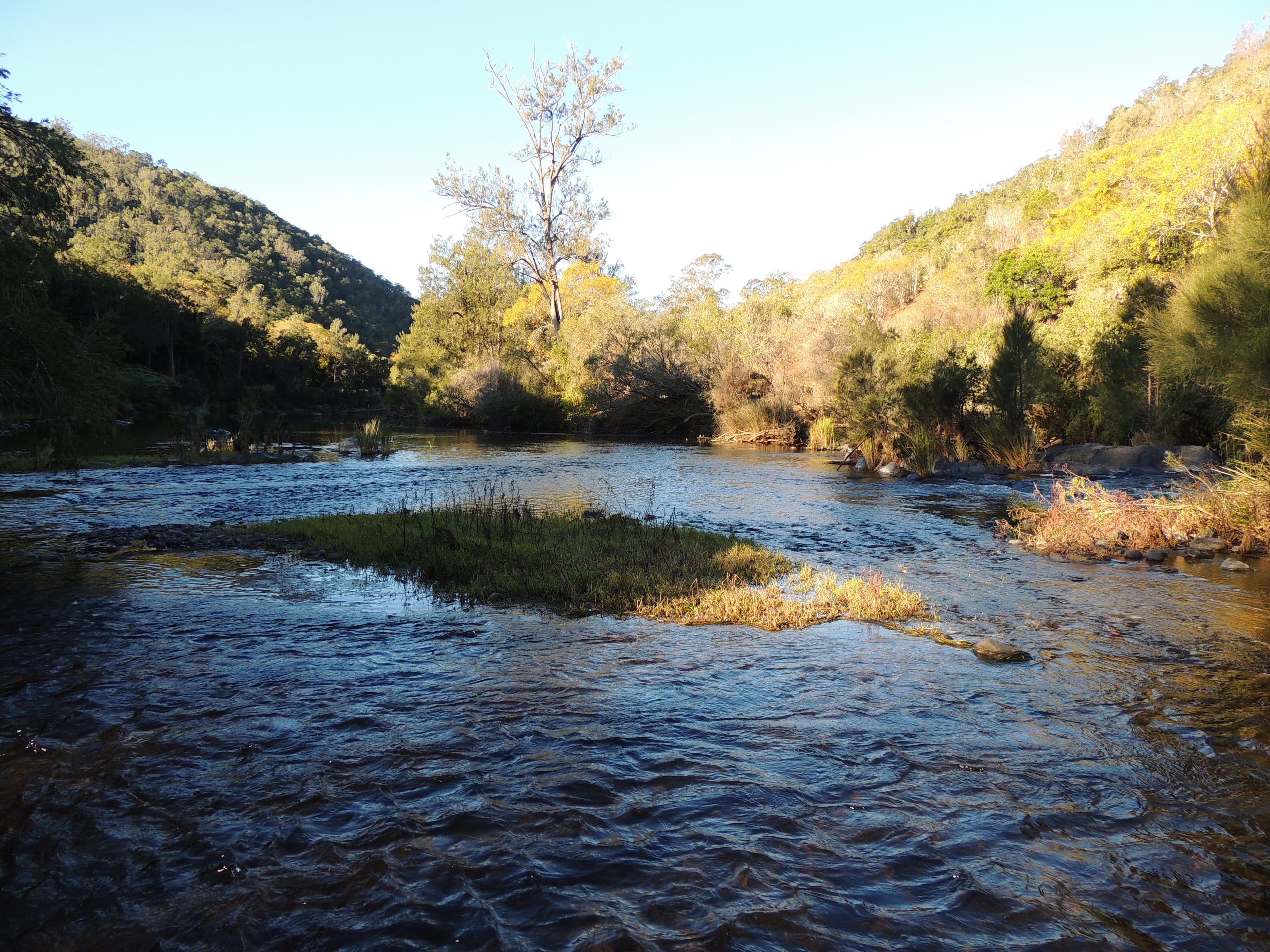362 Cundle Flat Road, Gloucester NSW 2422, Gloucester - Thumbnail 5
