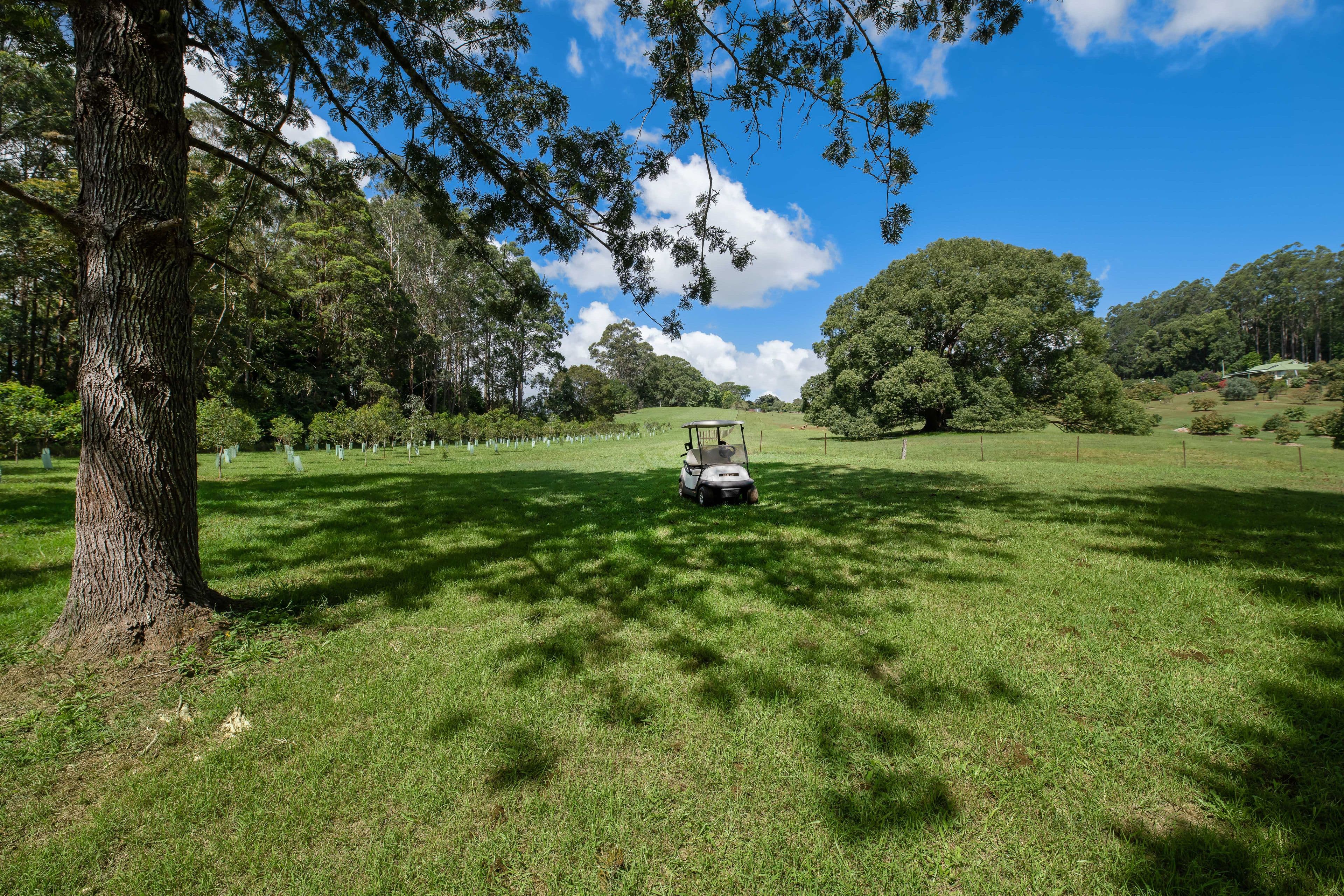 147 Obi Obi Road, Mapleton QLD 4560, Mapleton - Thumbnail 5