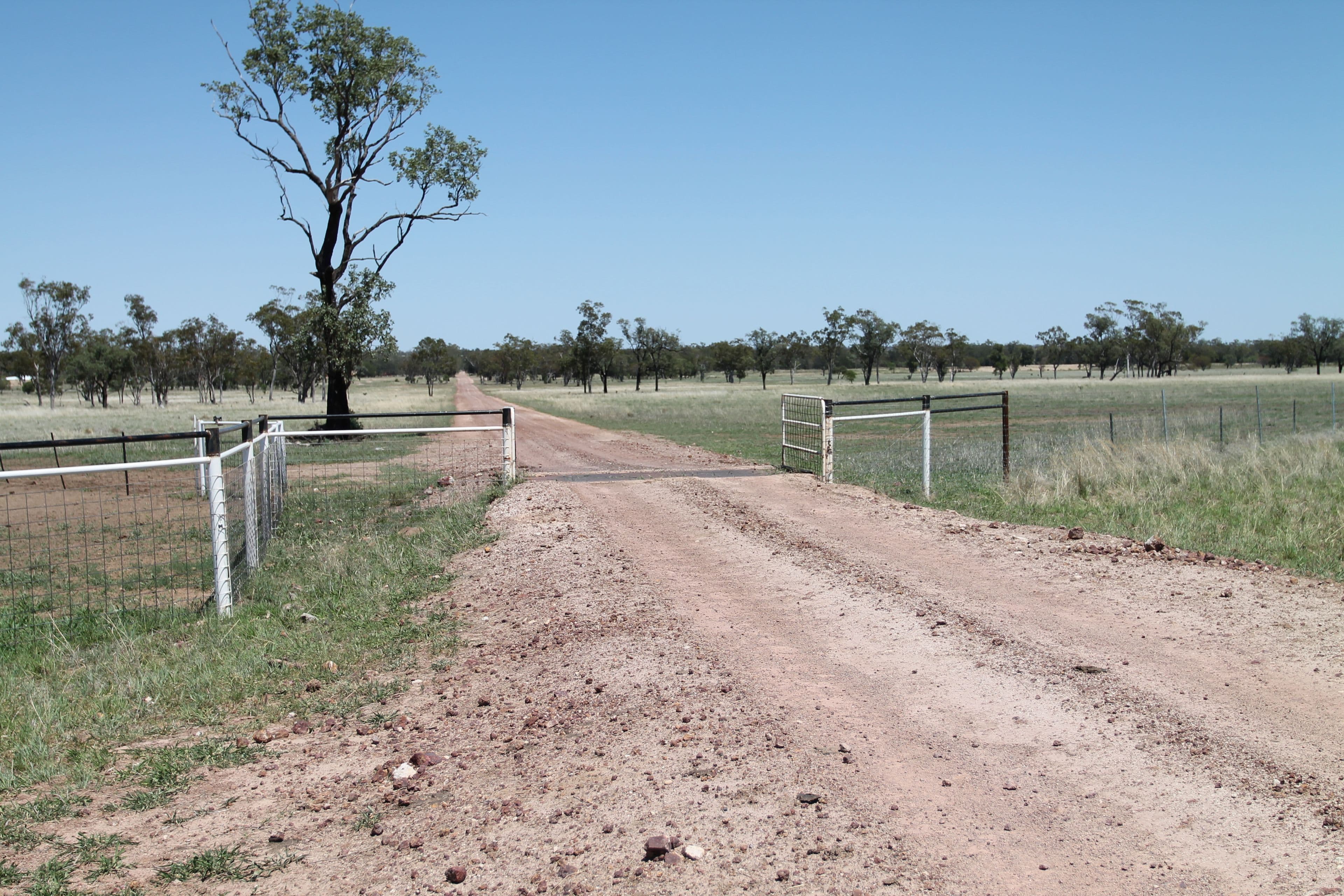 Surat QLD 4417, Surat - Thumbnail 7
