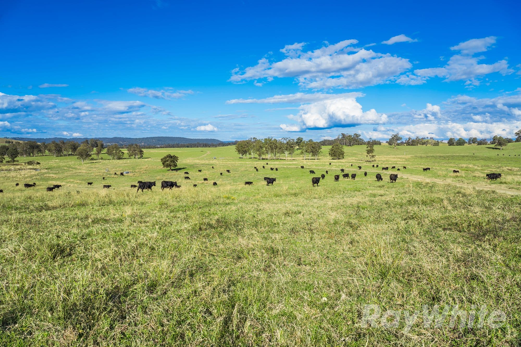 4469 Clarence Town Road, Dungog NSW 2420, Dungog - Thumbnail 4