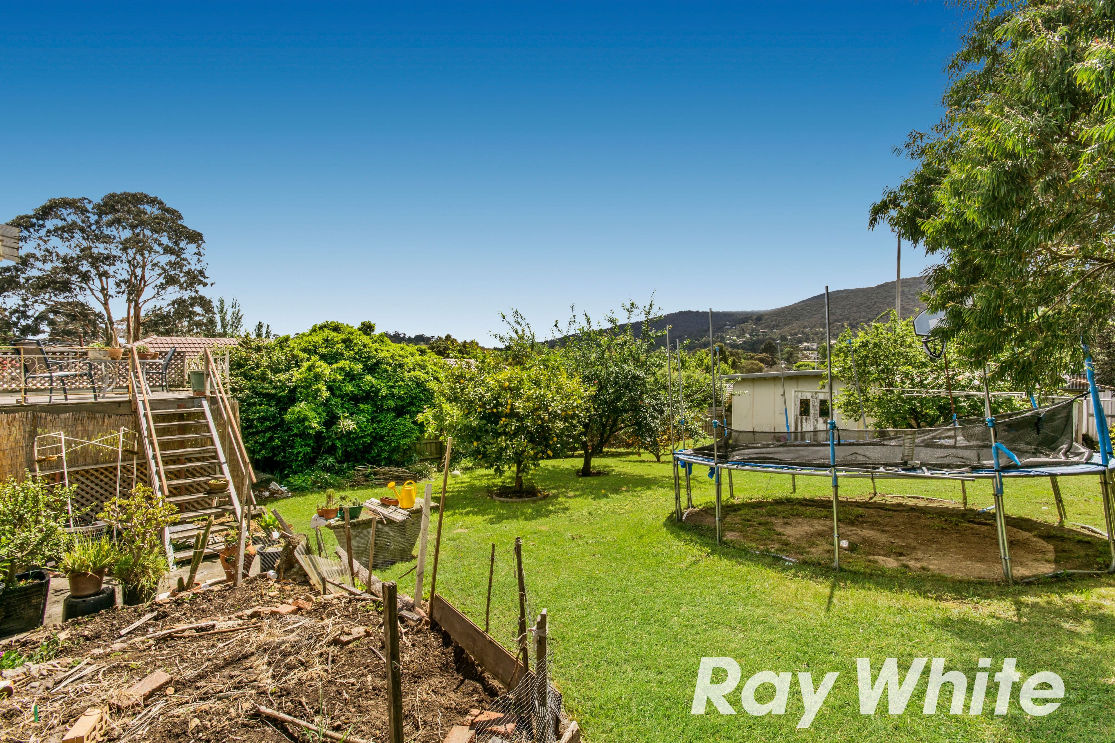 19 Nathan Street, Ferntree Gully VIC 3156, Ferntree Gully - Thumbnail 8