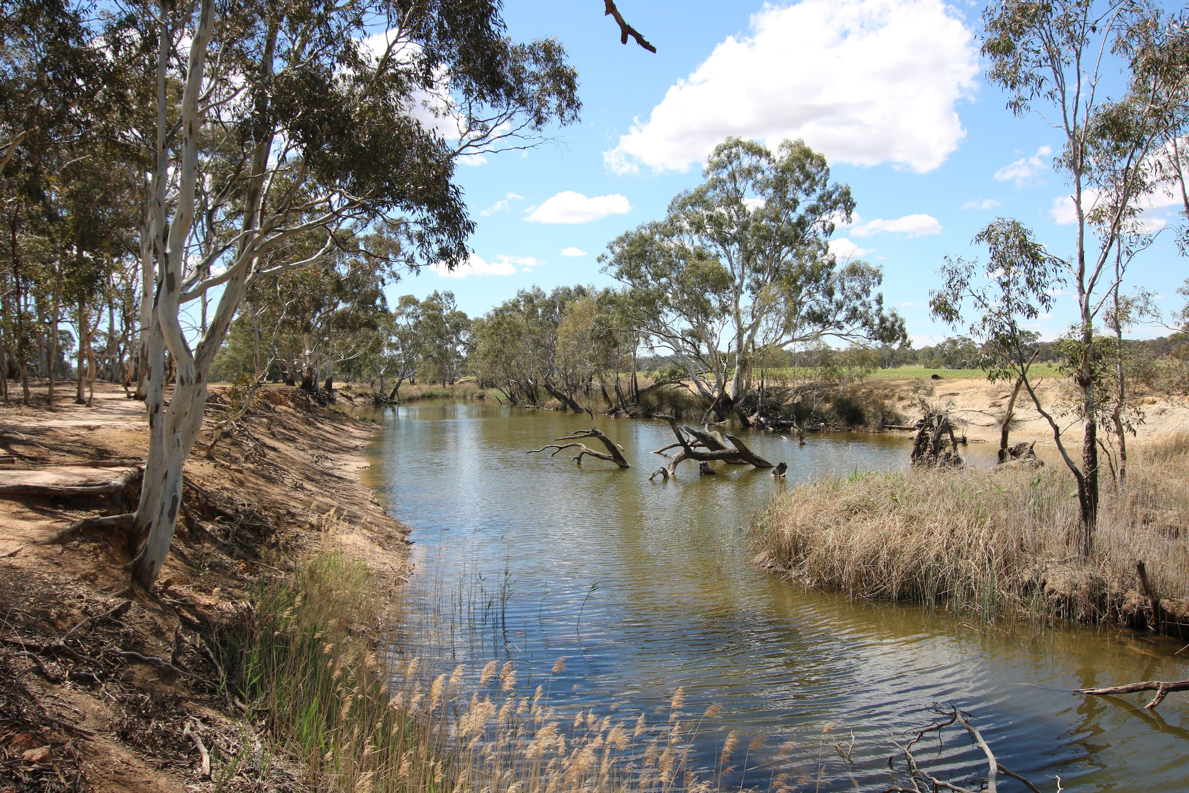 2665 Avoca Bealiba Road, Archdale VIC 3475, Archdale - Thumbnail 2